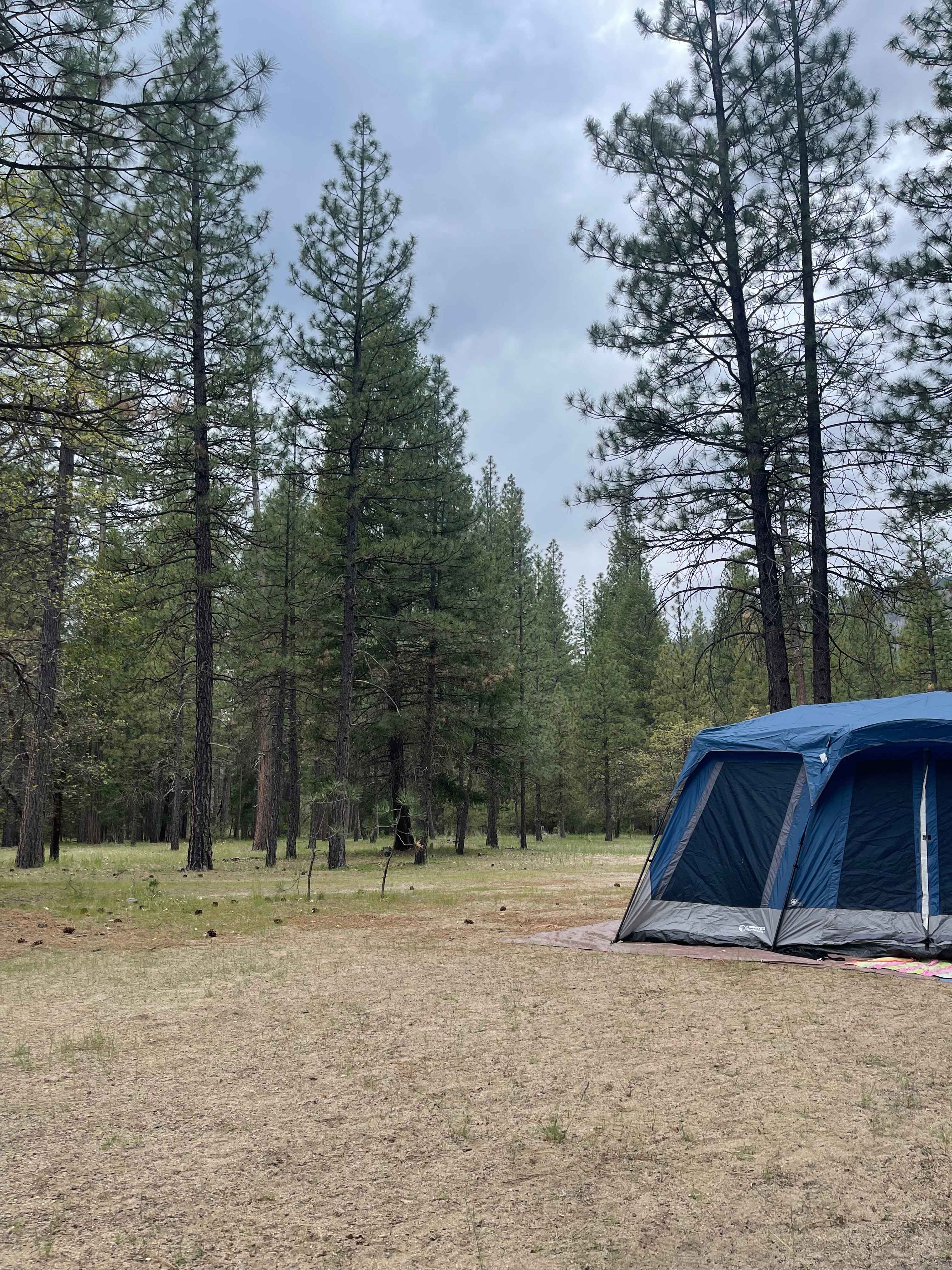 Genesee Camp