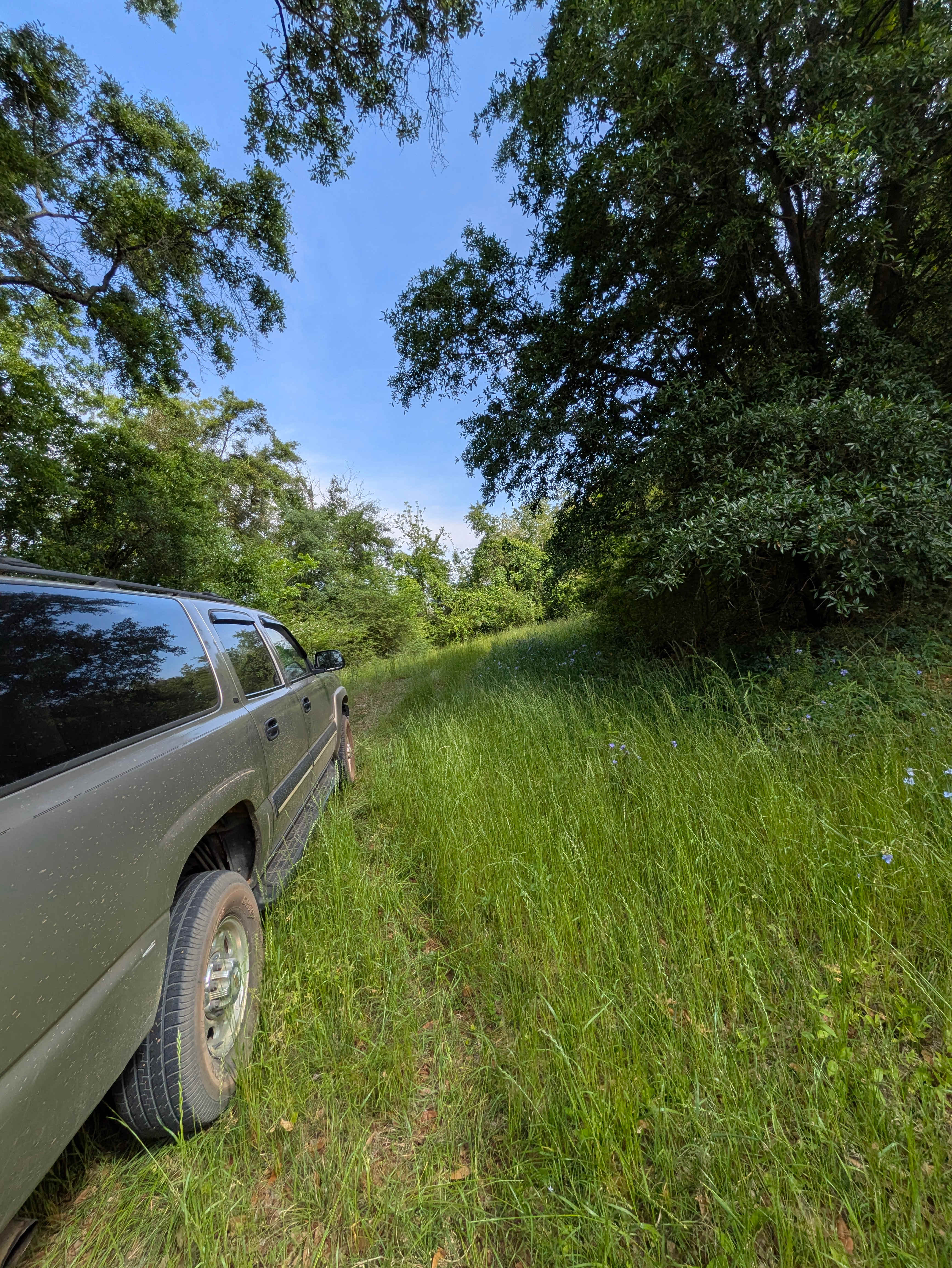 Rural South Georgia at its Best