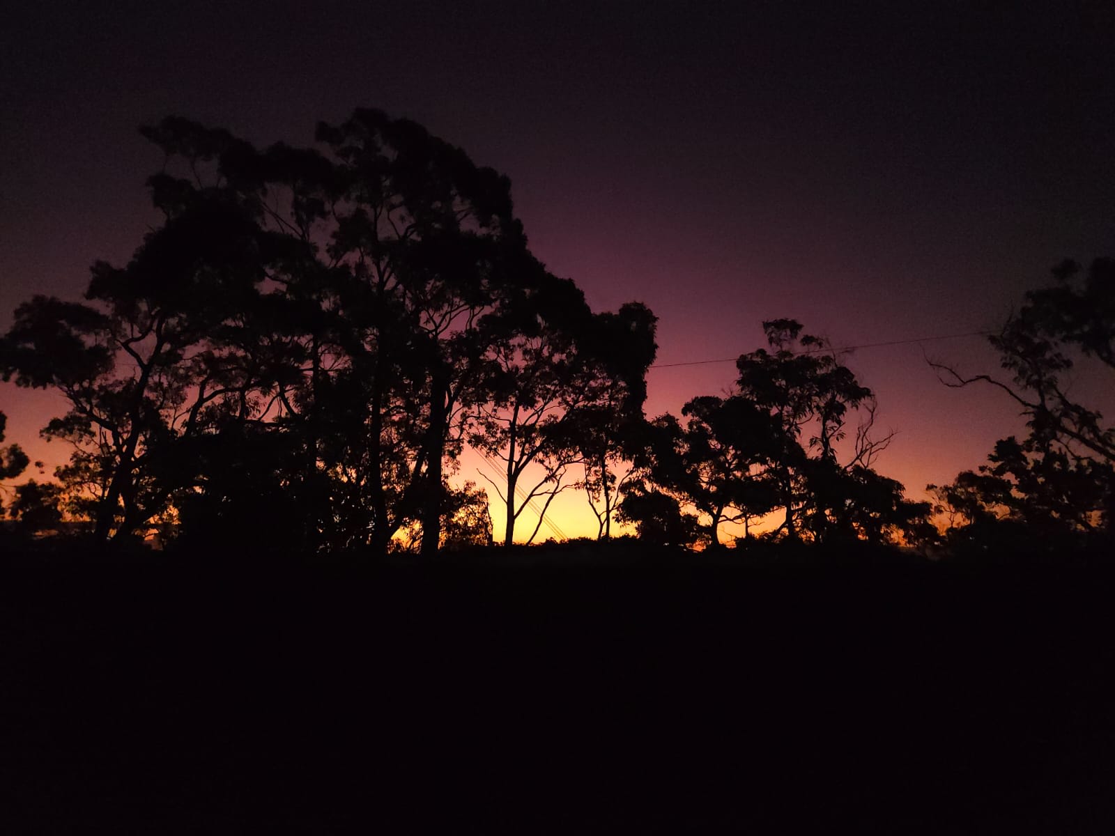 Canoelands Orchard Camping