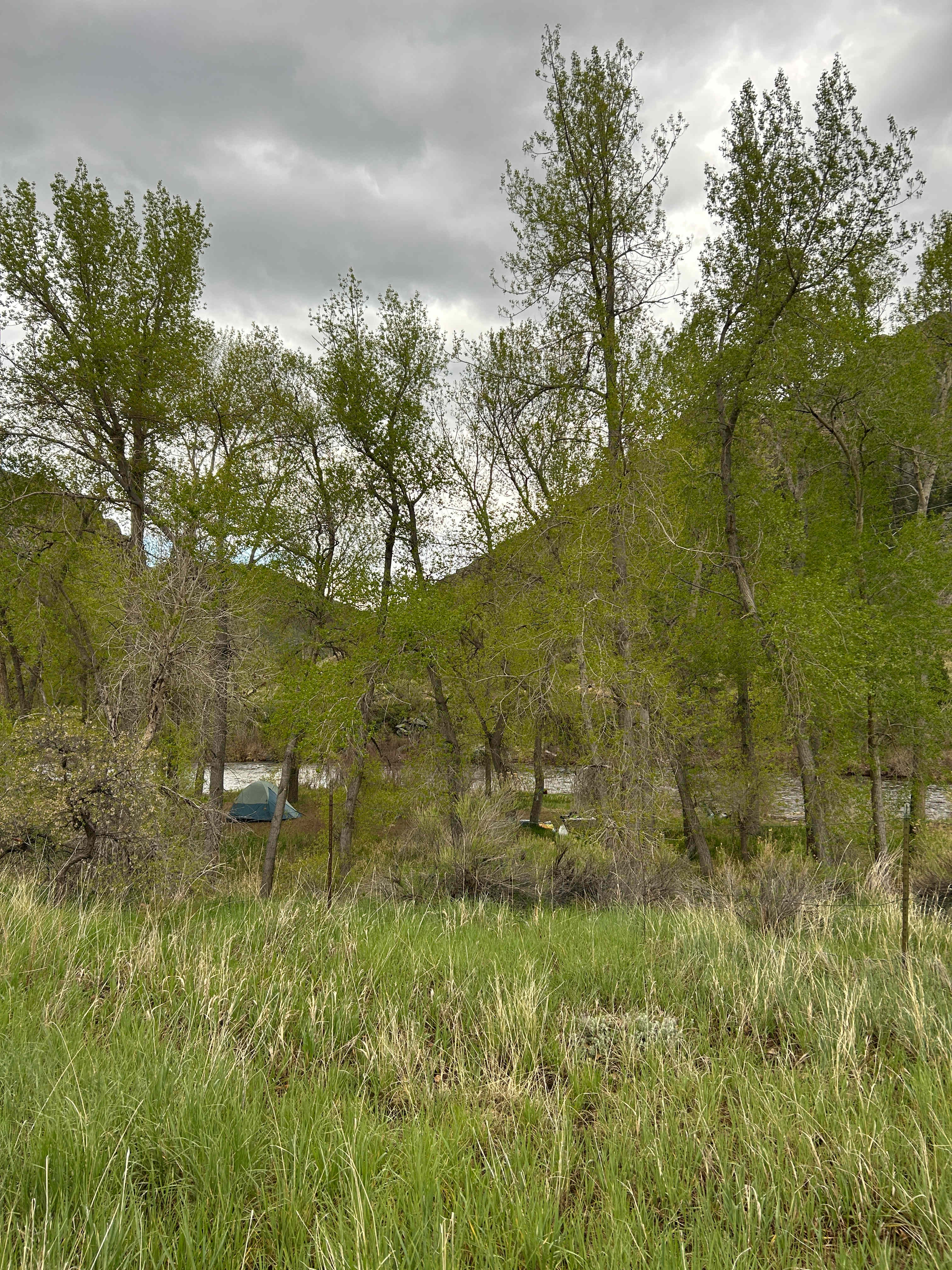 Basecamp On The Poudre