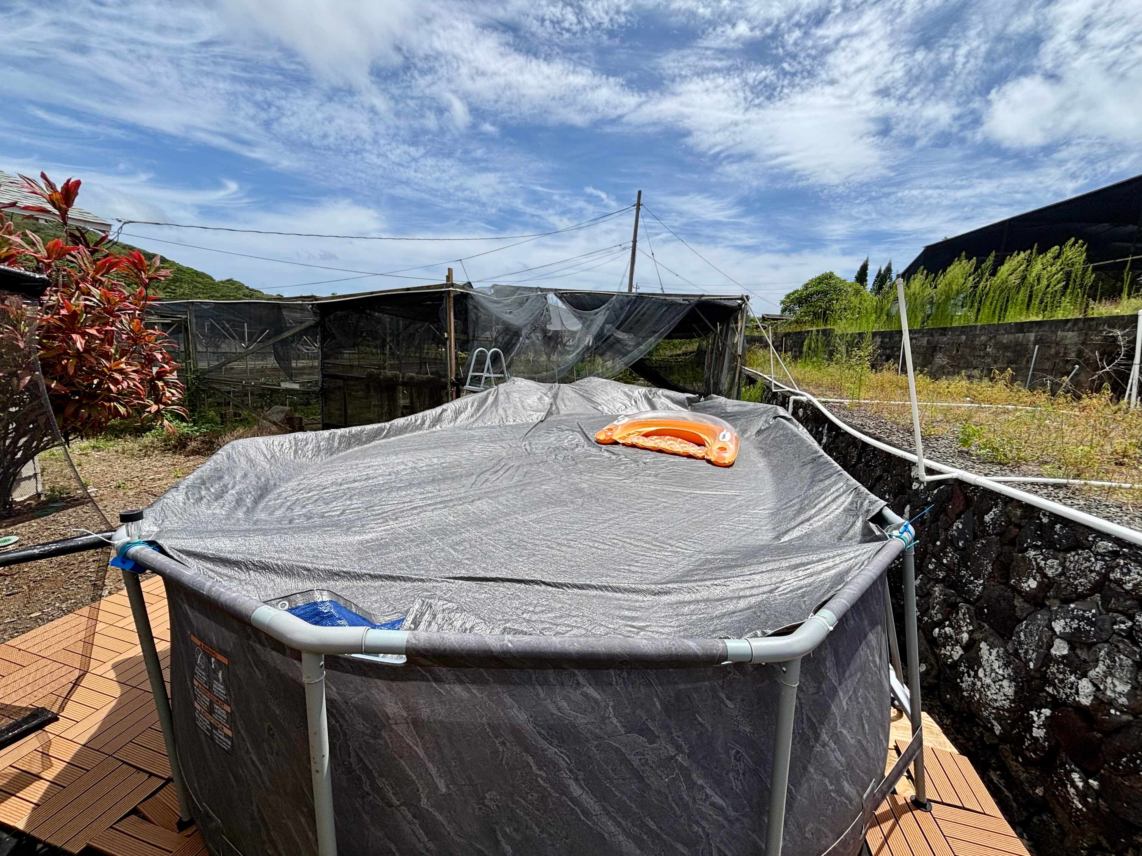 Sandys Campsite