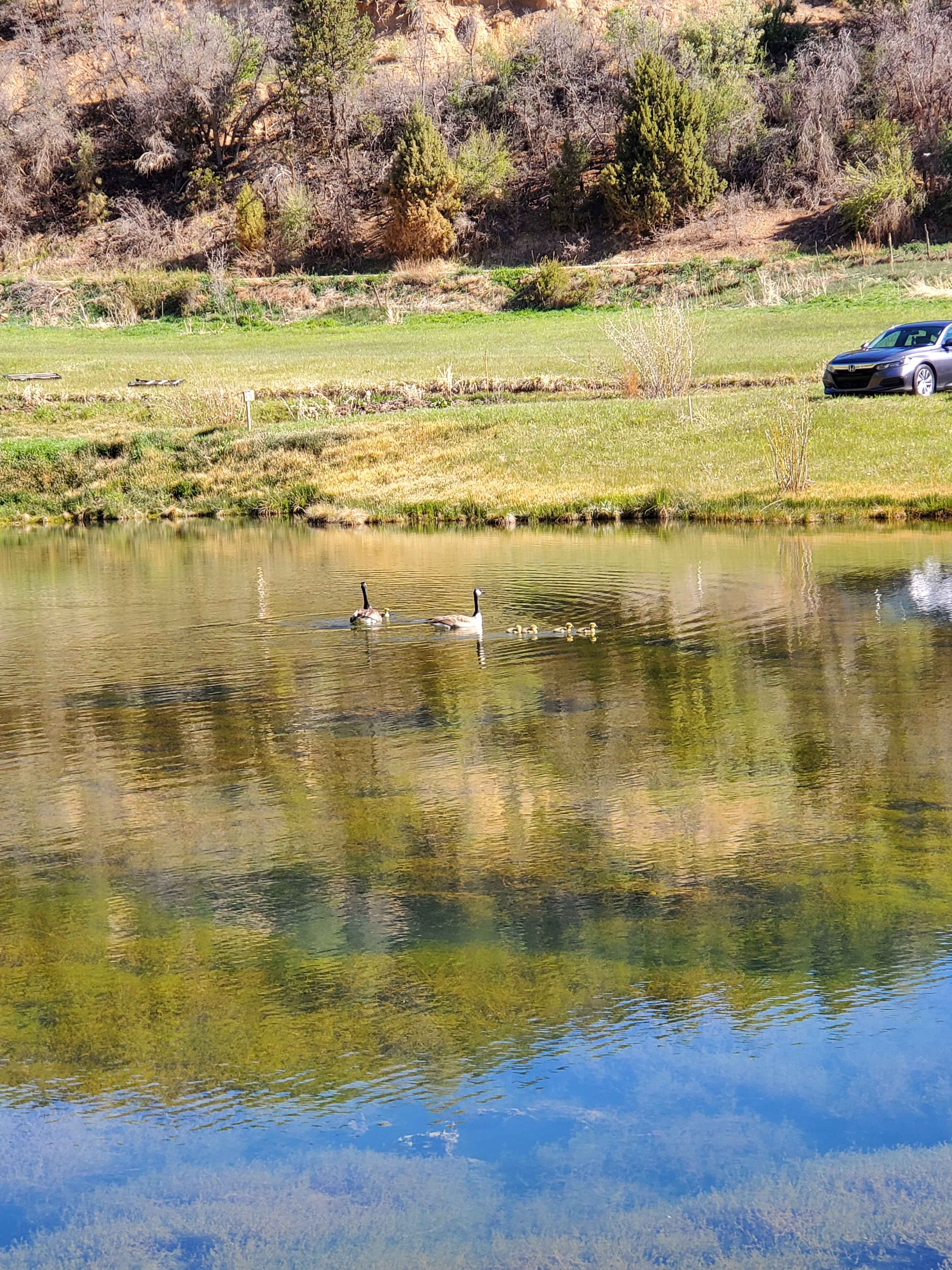 Zion Family Ranch Campground and RV