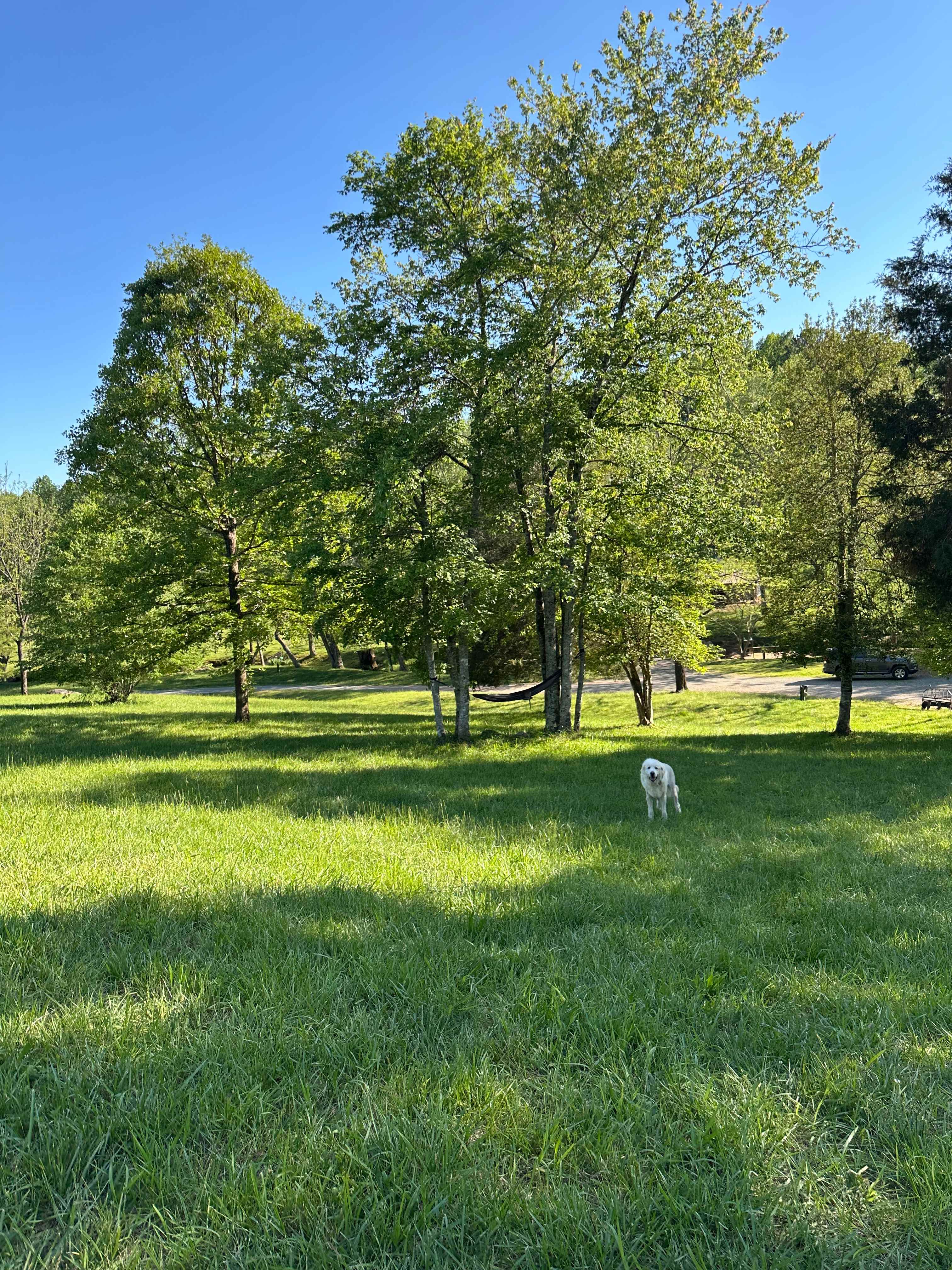 Cold Creek Farm