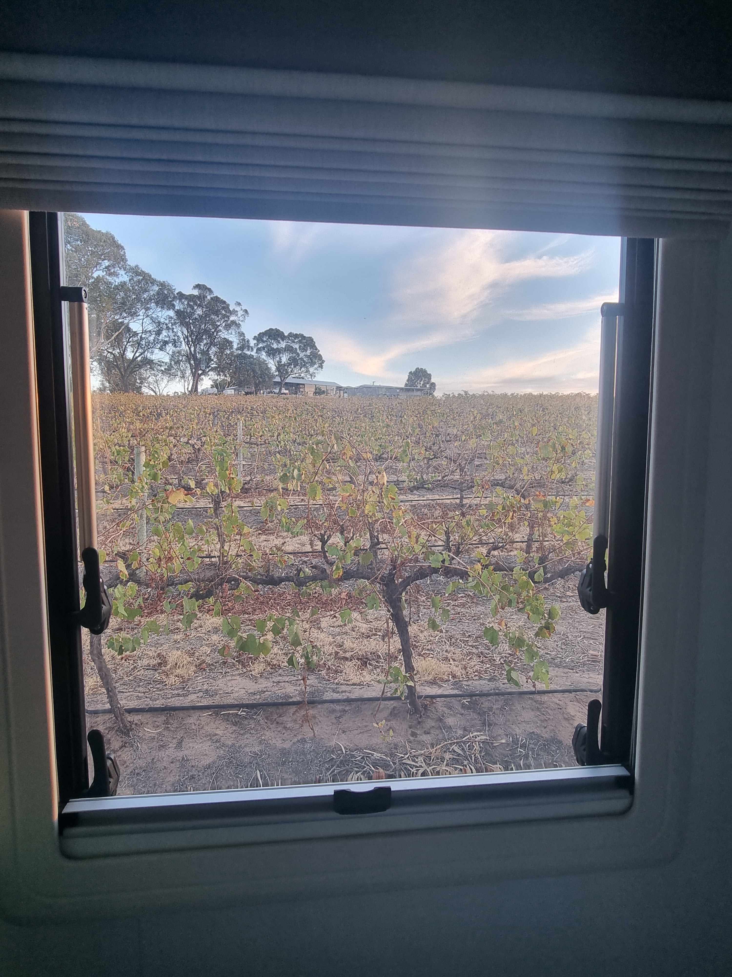 Morning view to cellar door and restaurant 