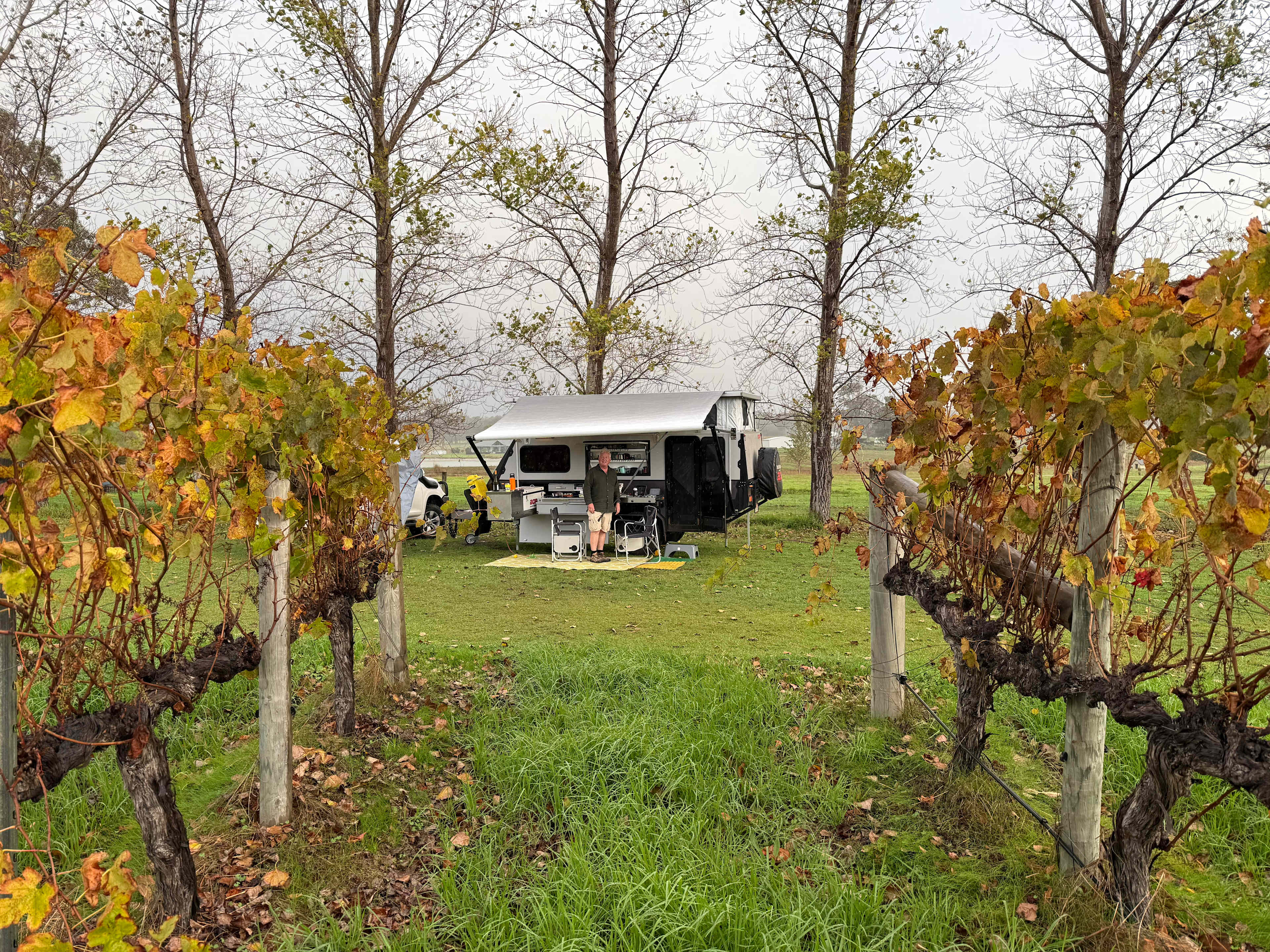 Jarvis Estate Winery & Camping