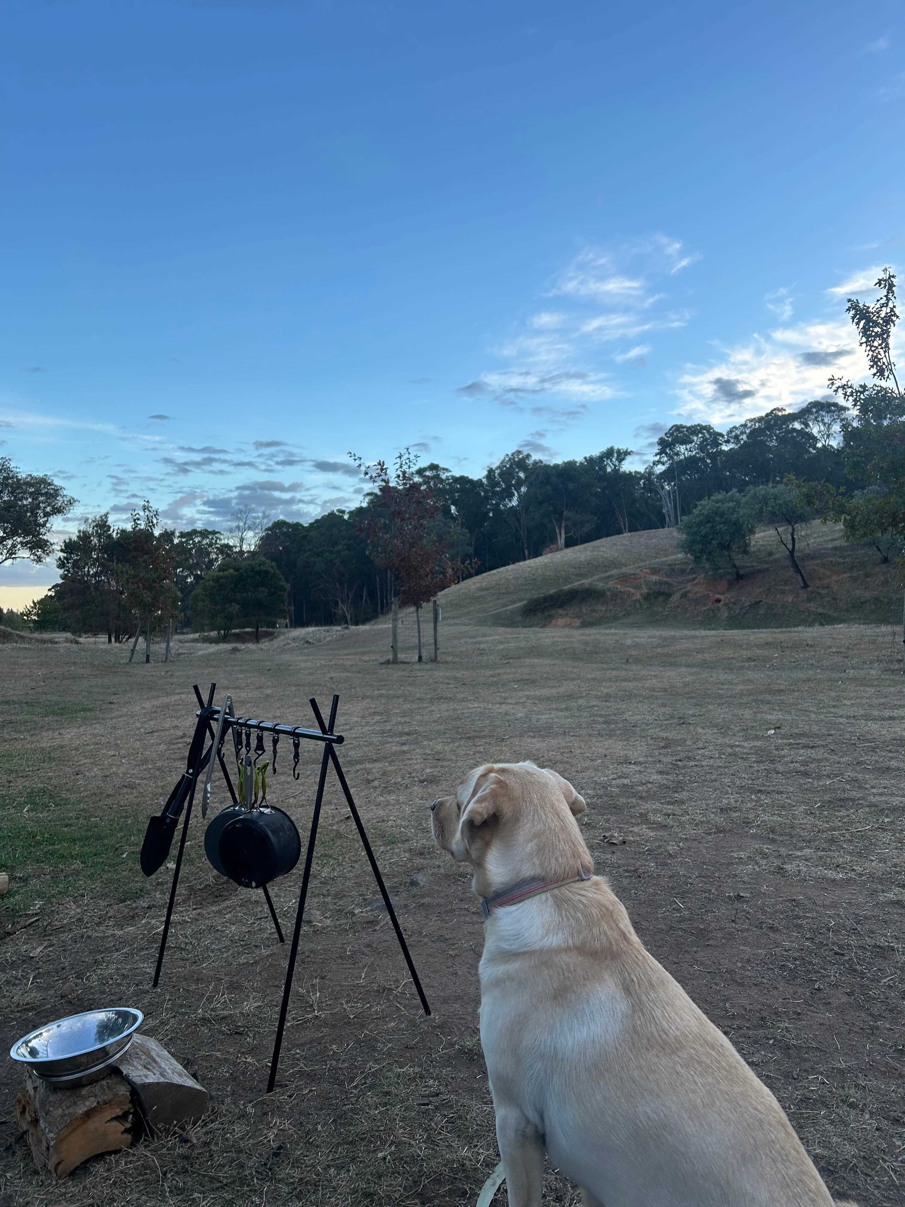 Nillawarre Farm Stay