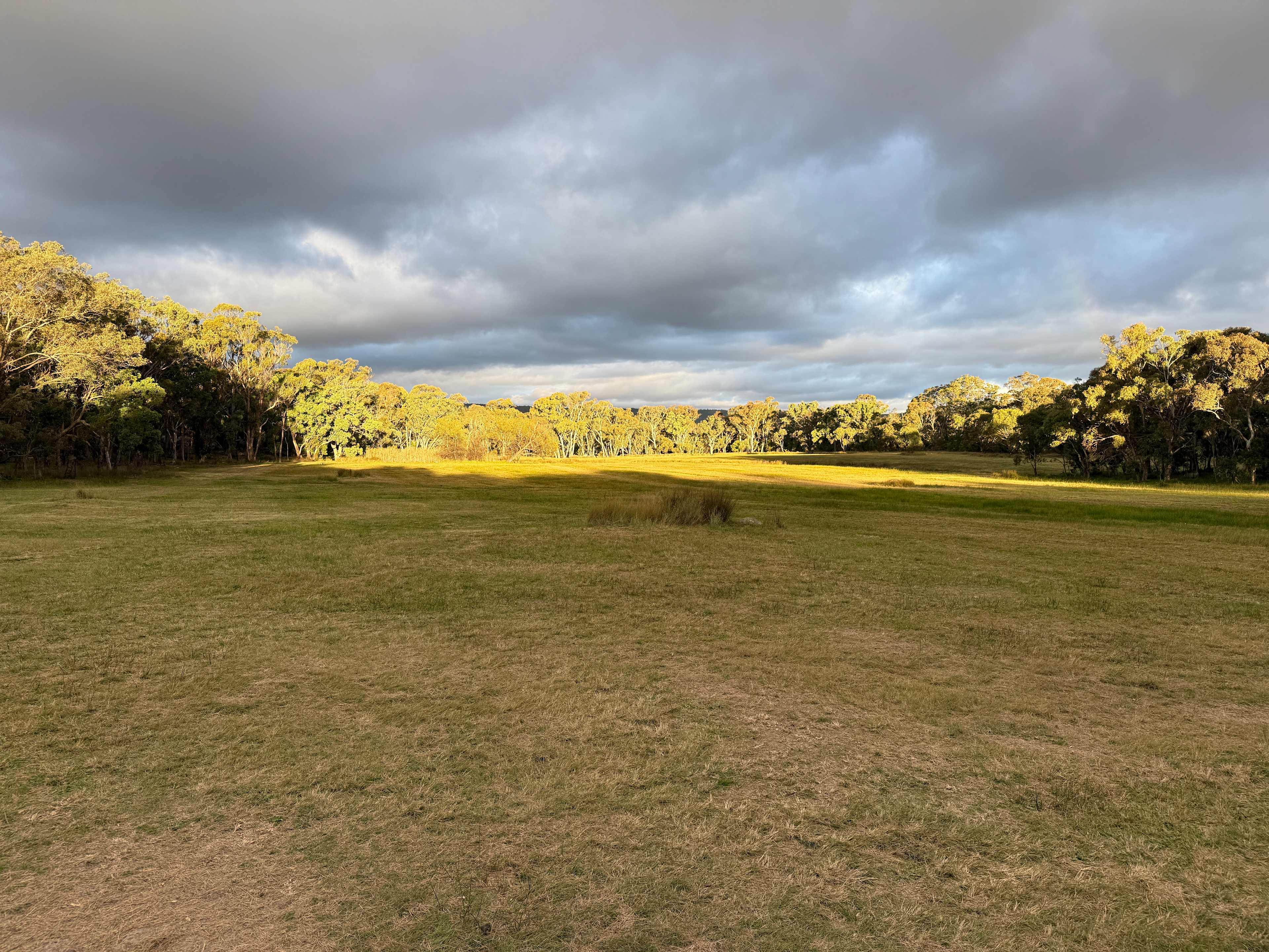 View from the fire pit