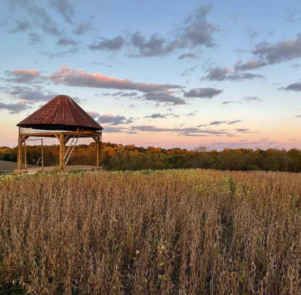 McKee Farm - Treehouses and Camping