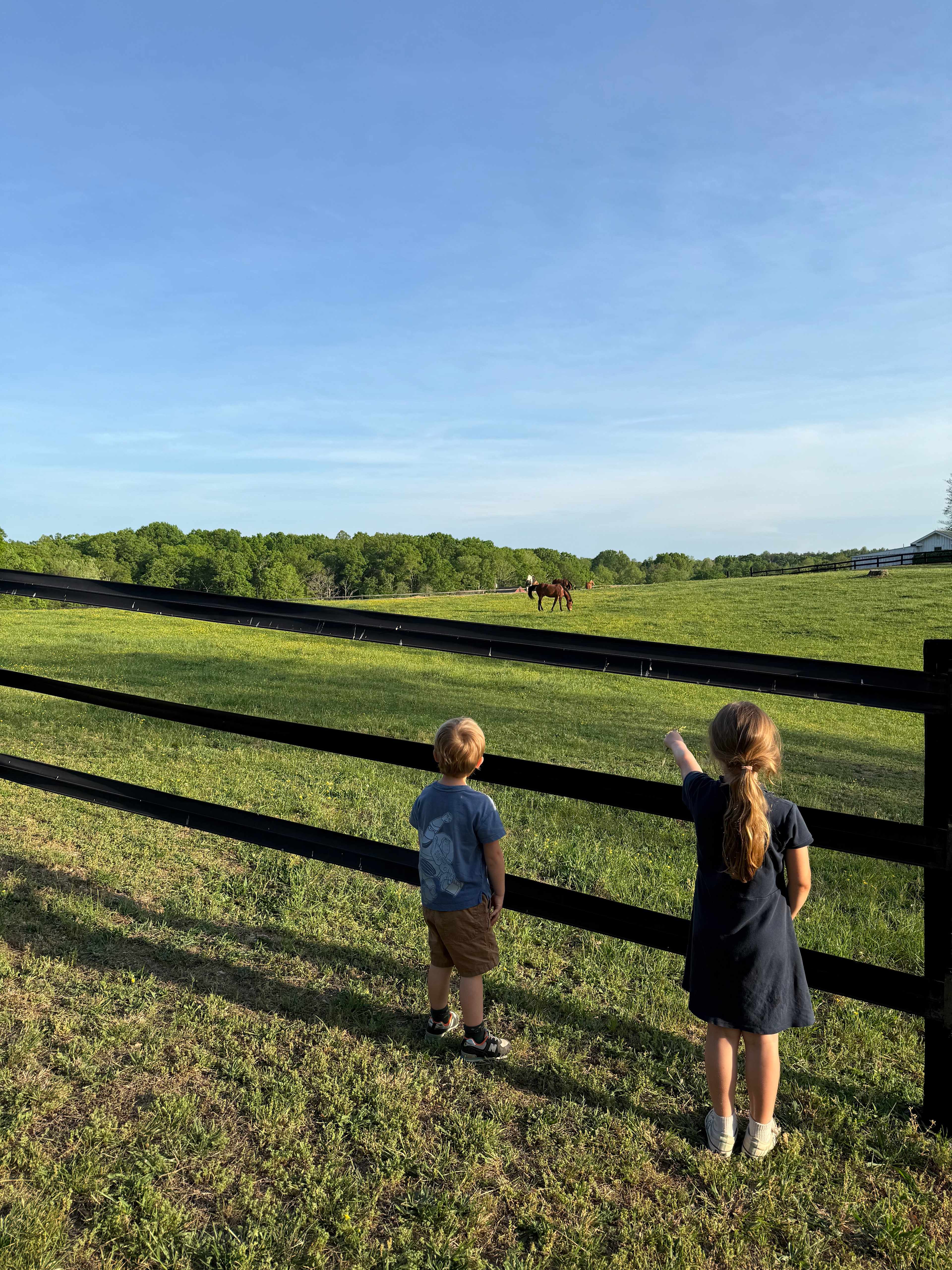 Amazing views on the farm