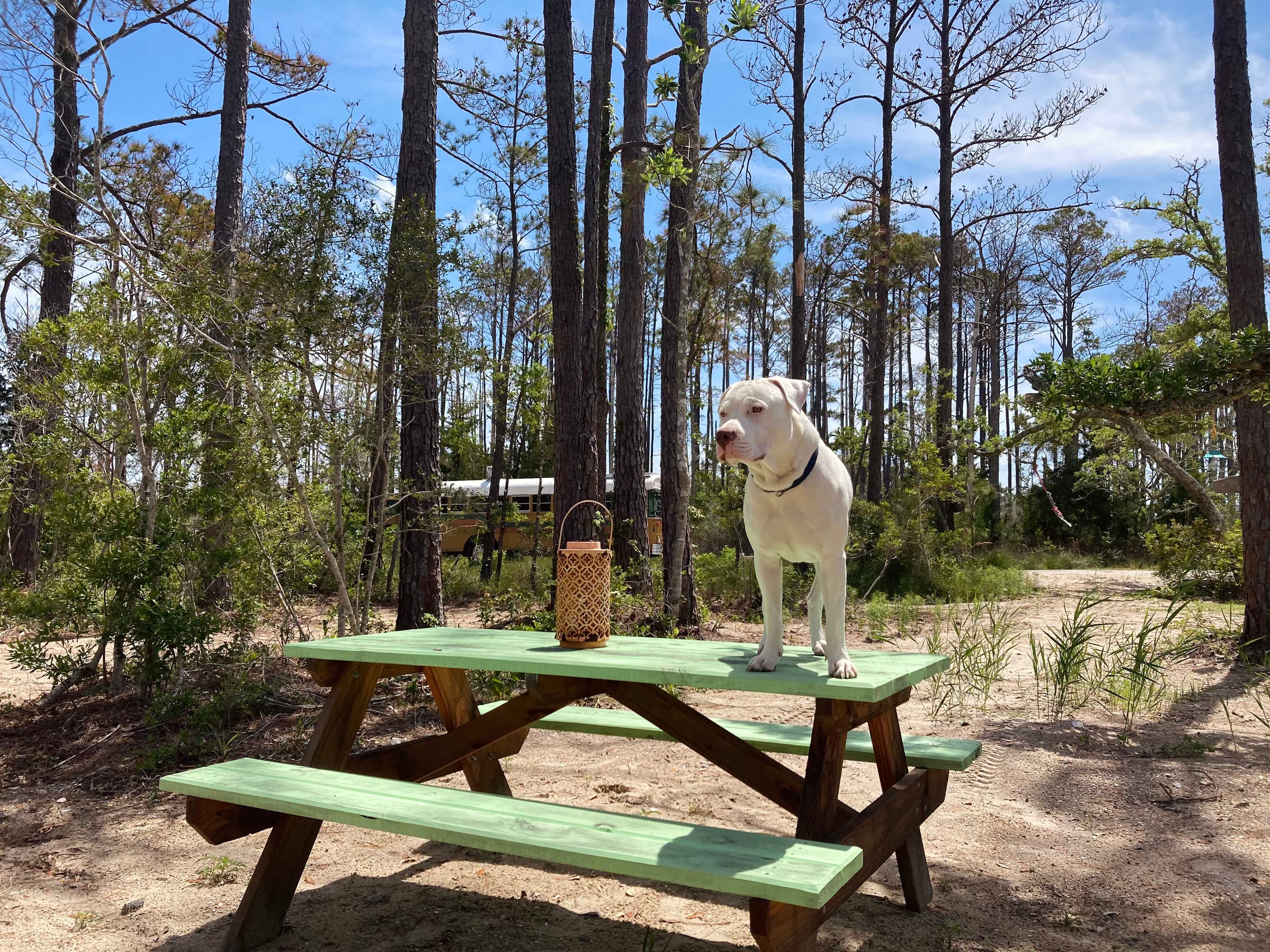 Crockett Landing