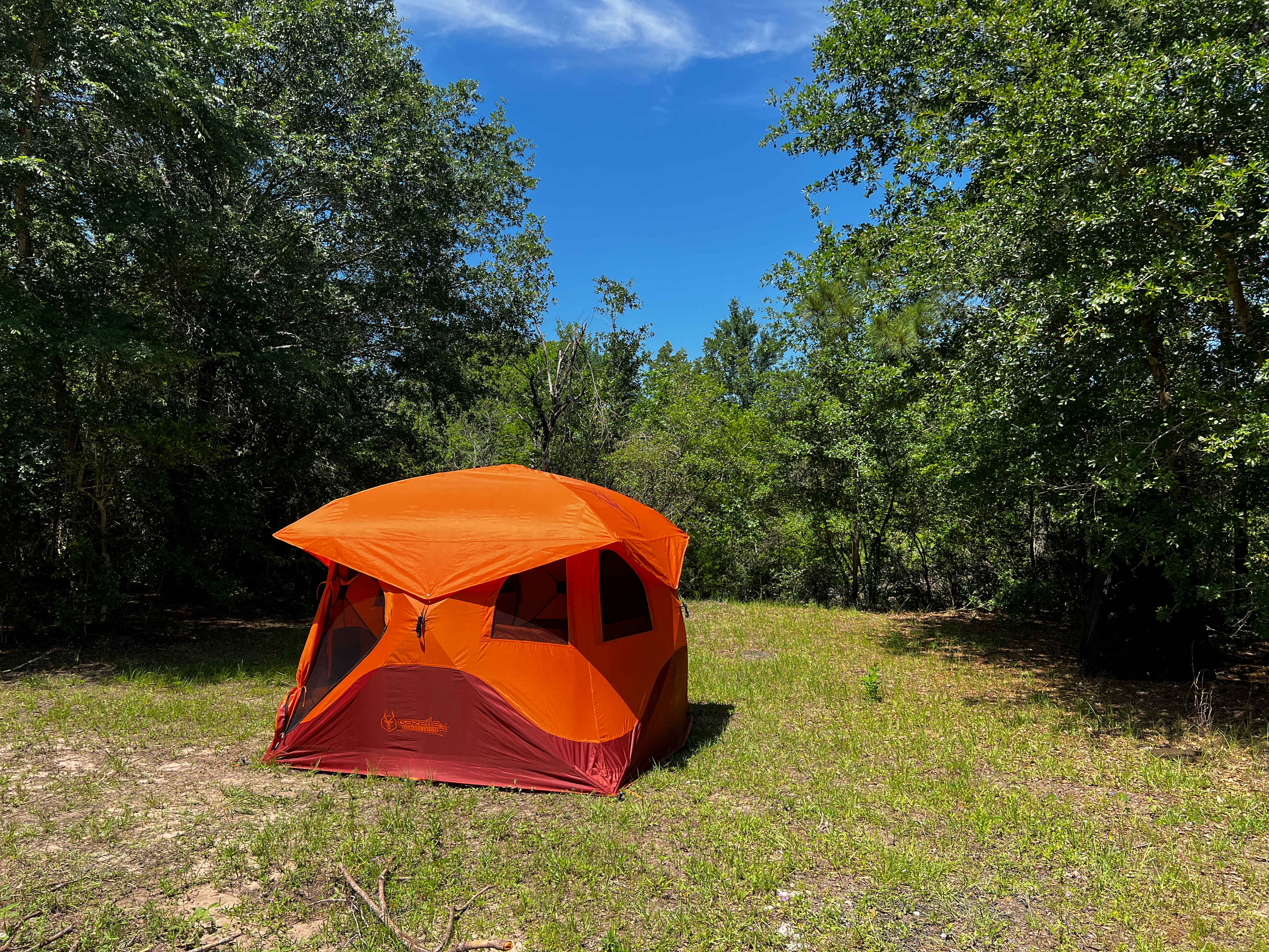 Nice flat spot for the tent, and secluded!