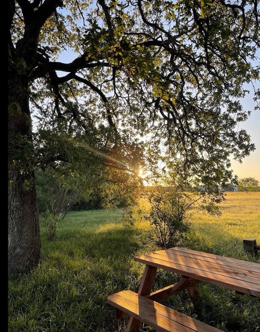 Coyote Creek Farm