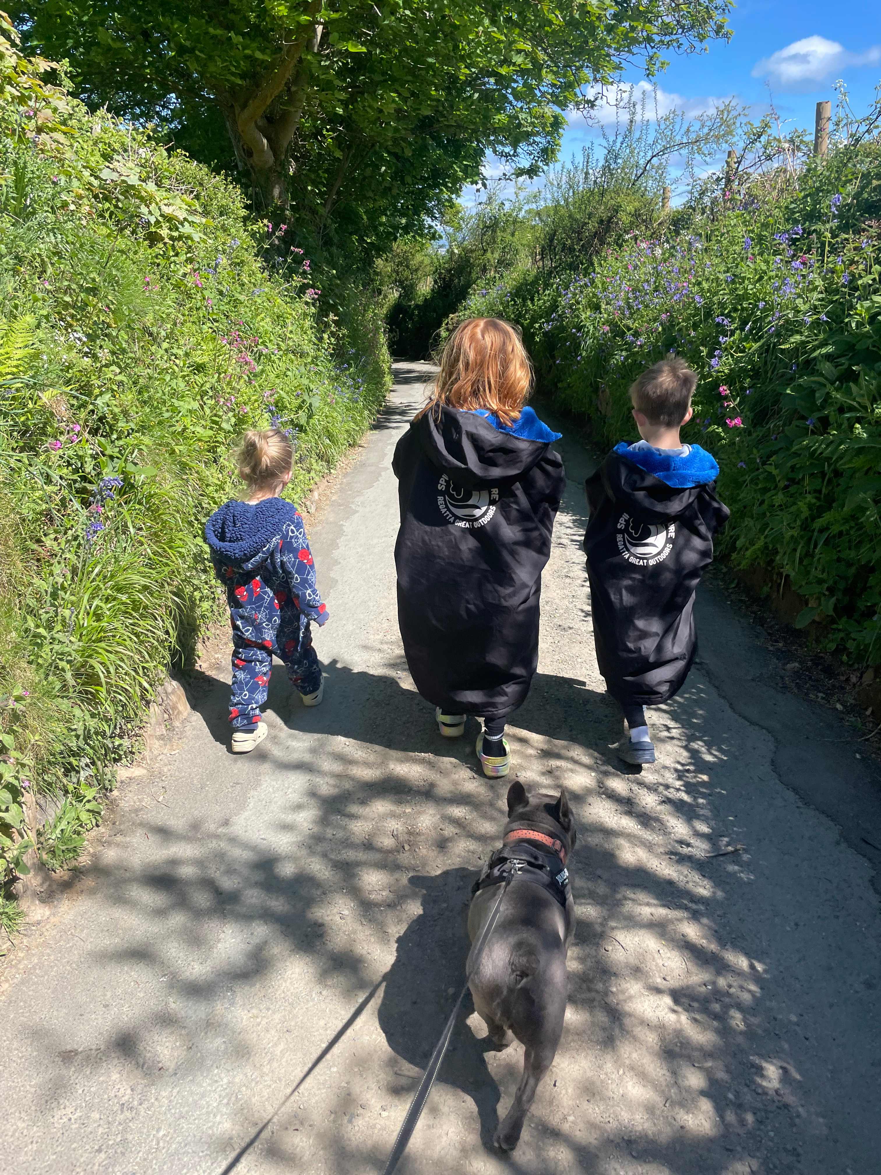 Lovely country lanes walk to the beach 