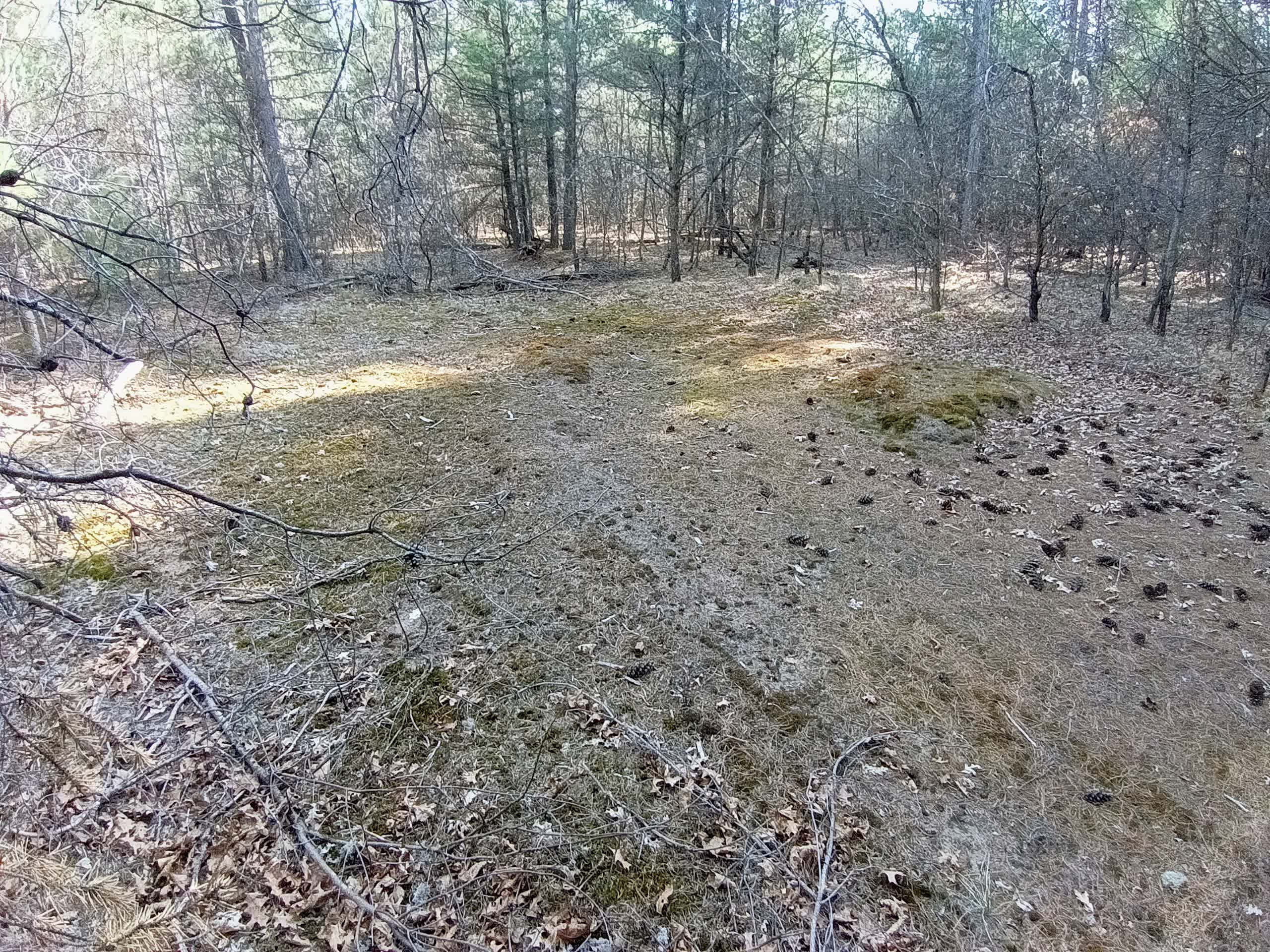 Secluded Woodsy Camp by the River