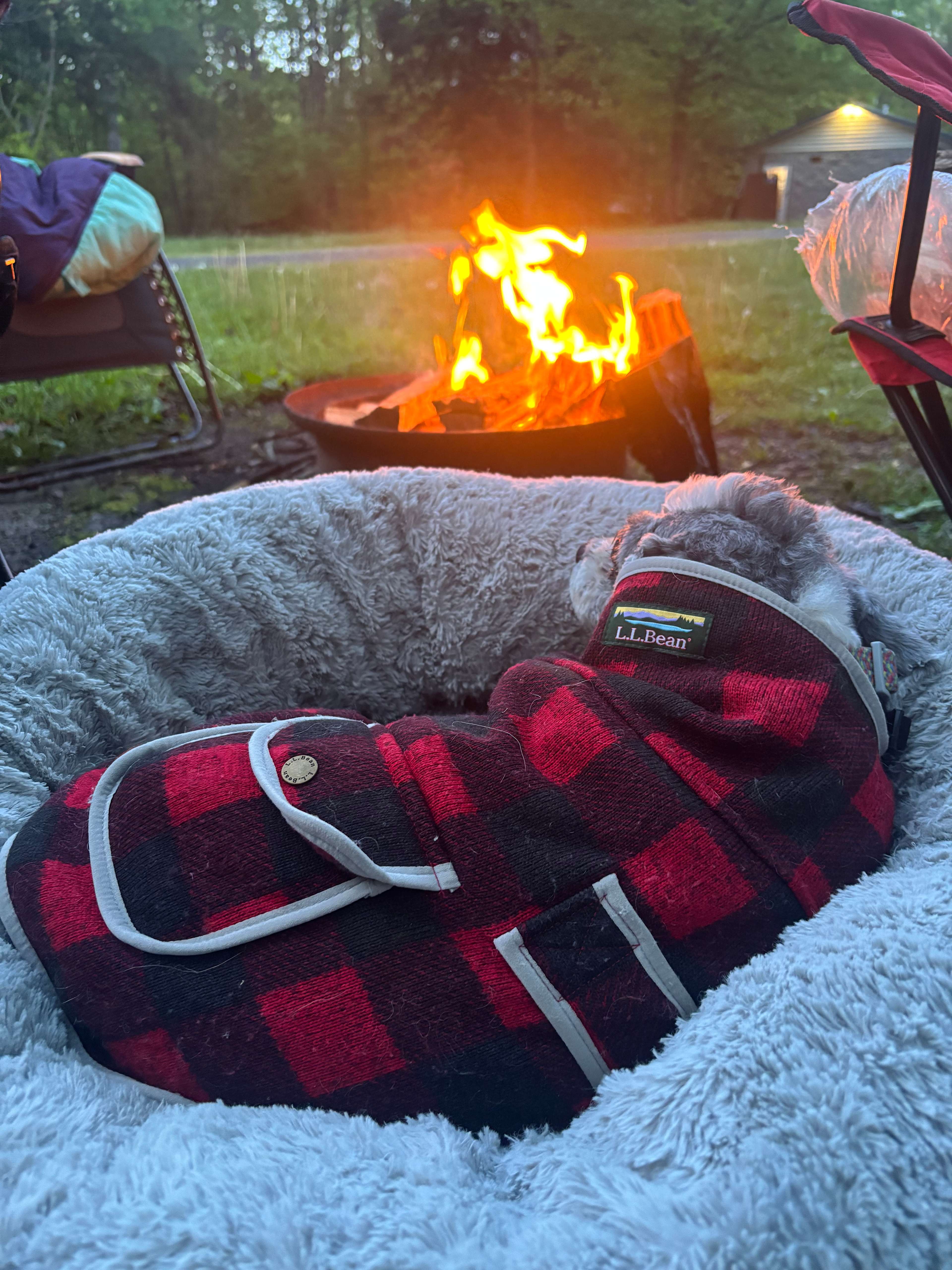 Ray's Campground