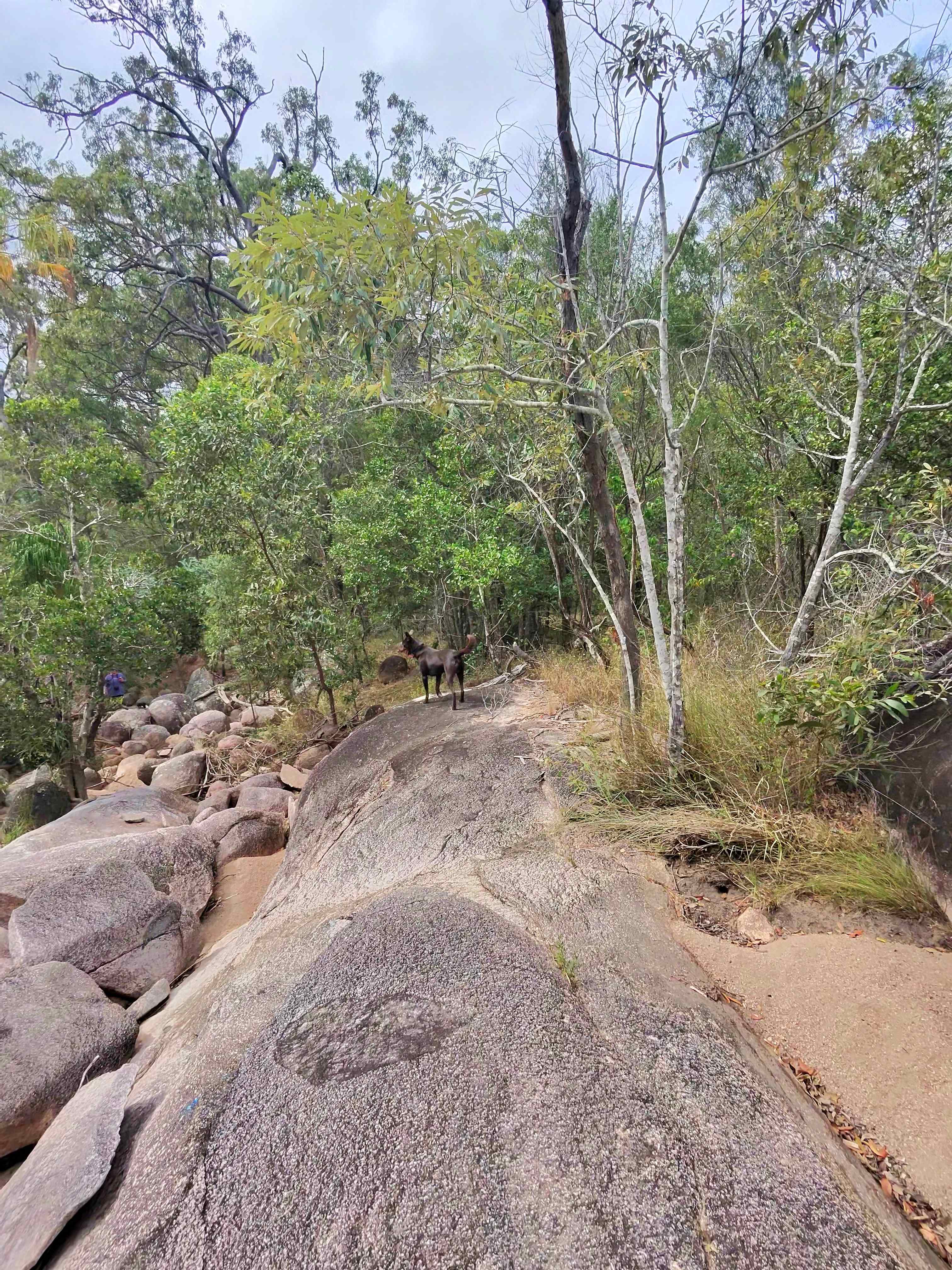 Big Rocks Bush Retreat