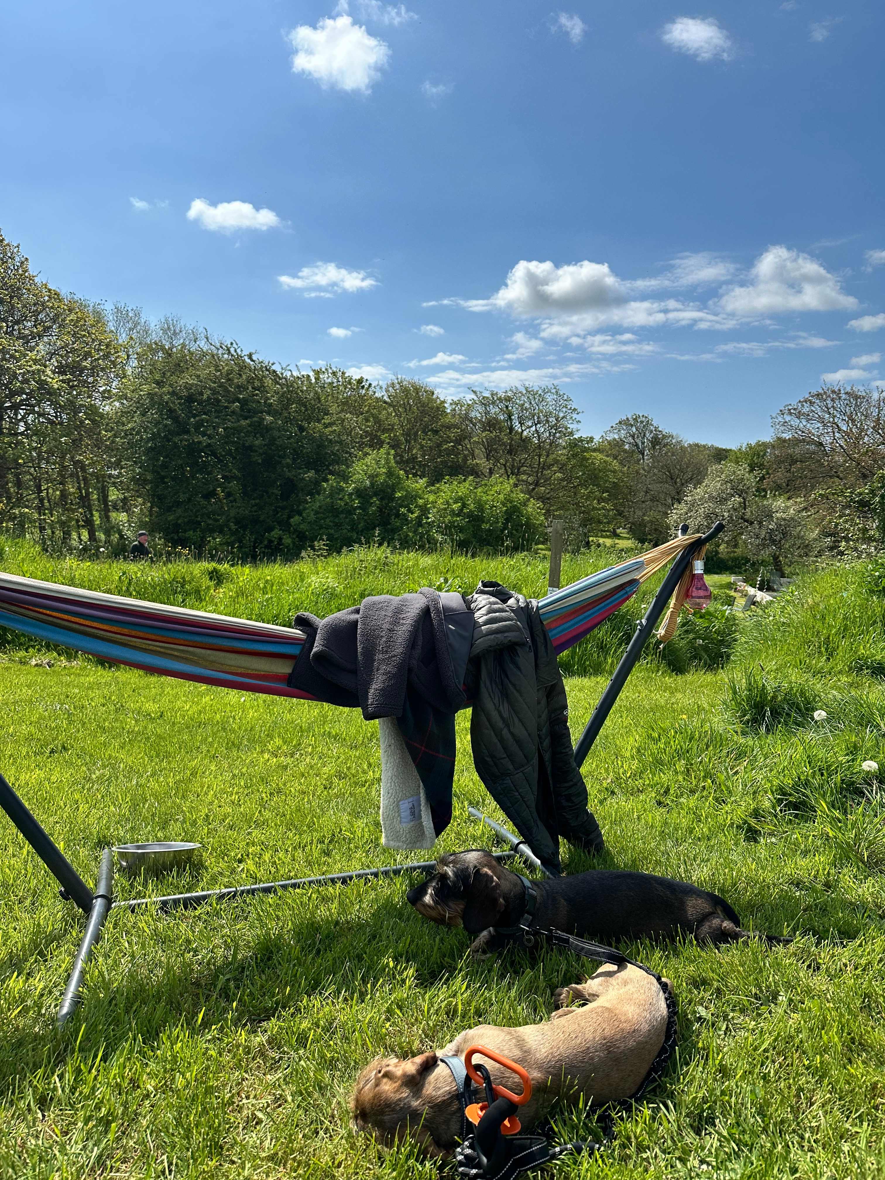 Bringing a hammock was a great idea!