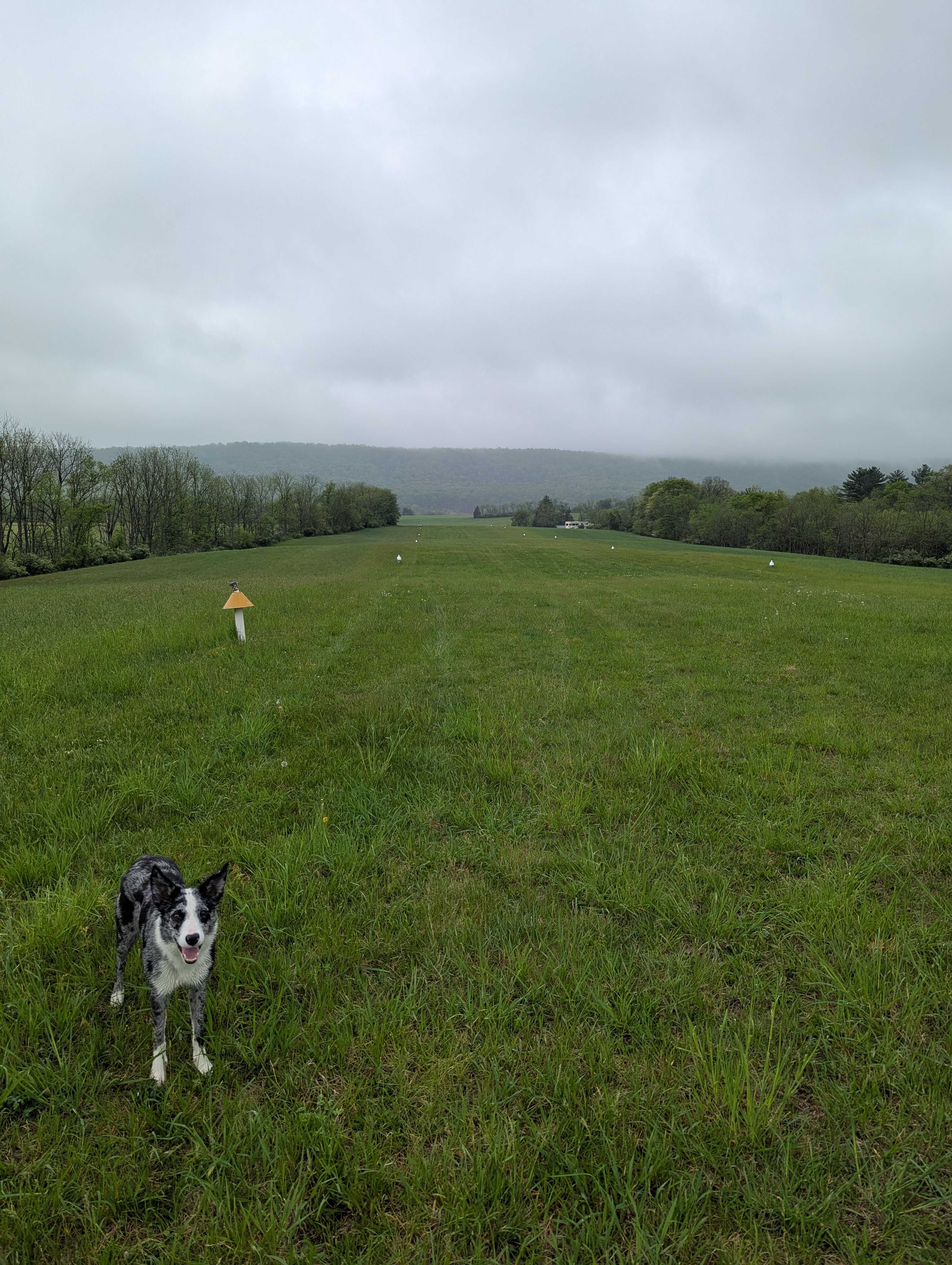 Fairview Farms Airfield
