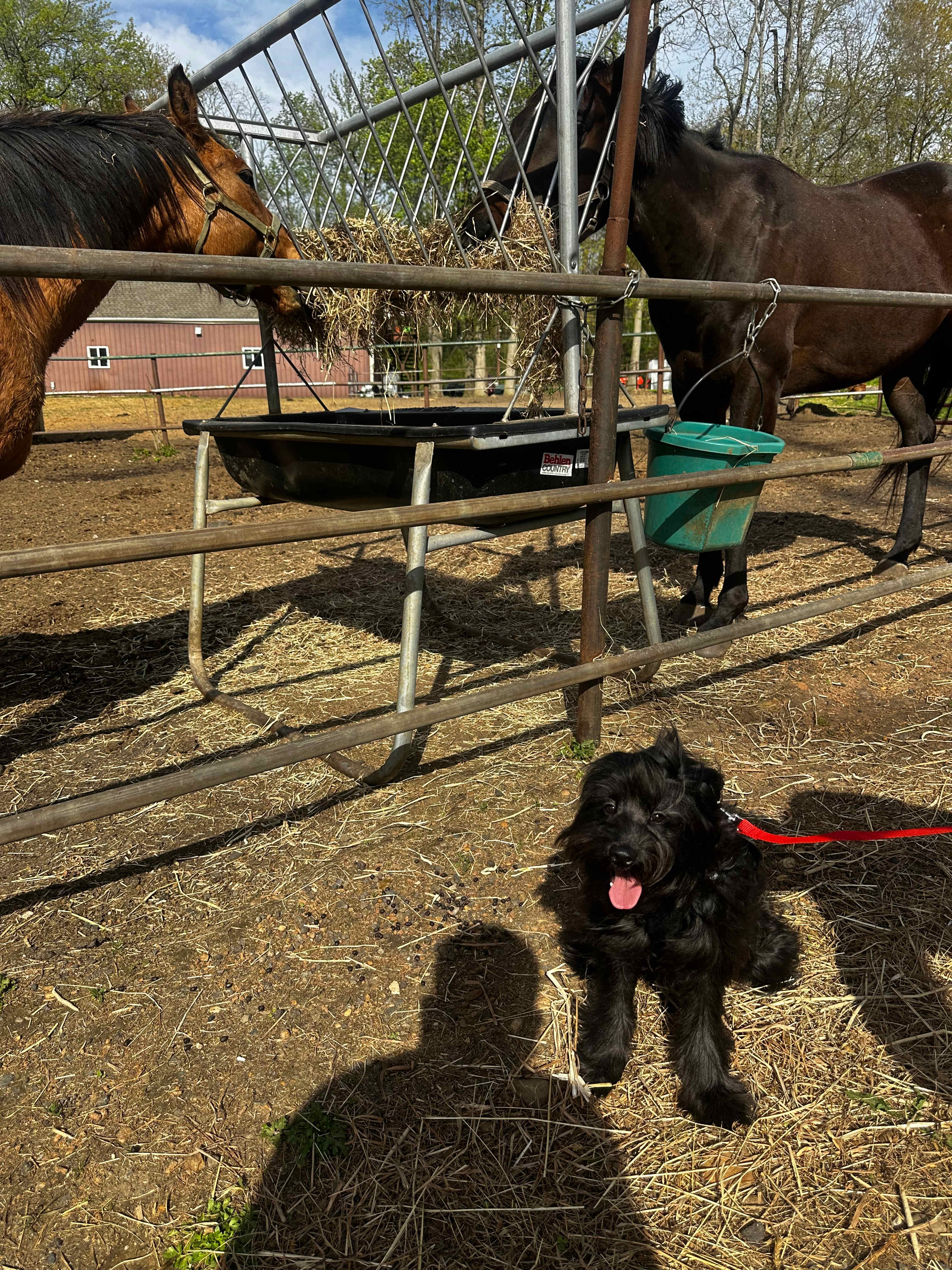 Horse Farm Camping