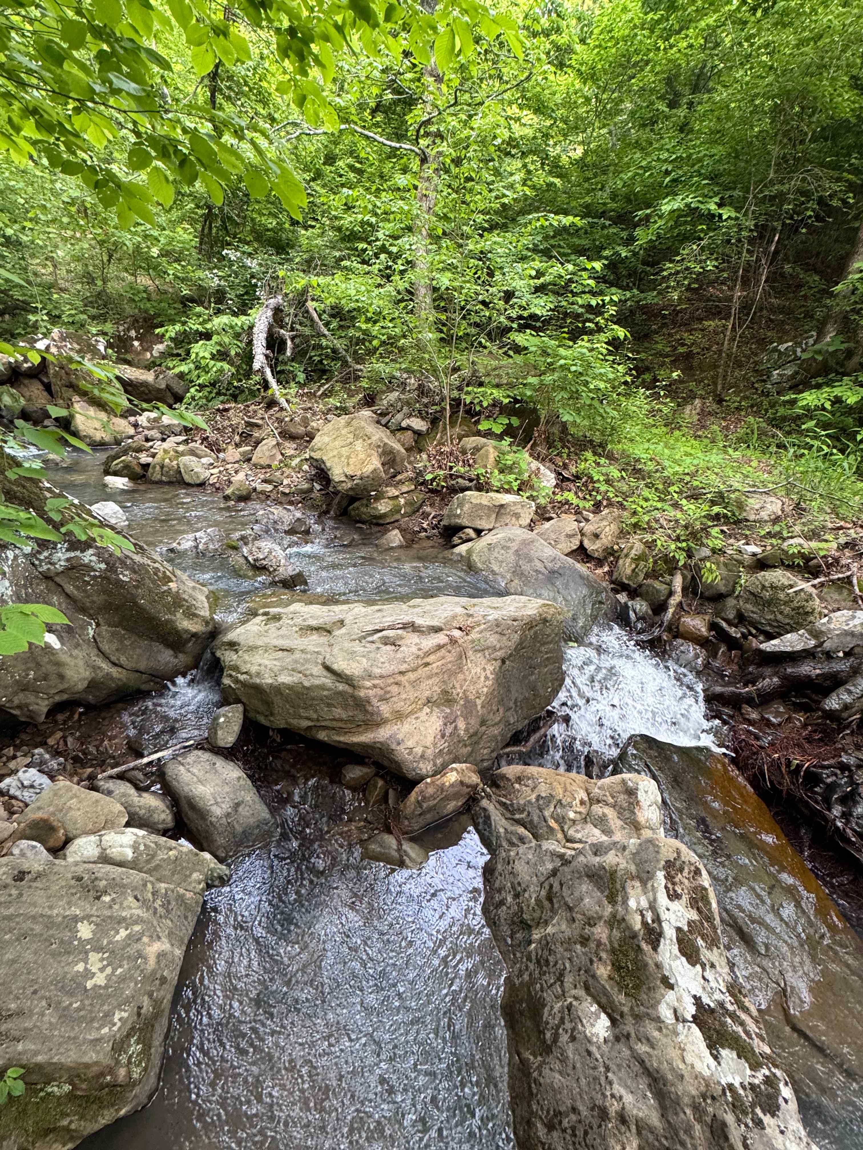 Creek