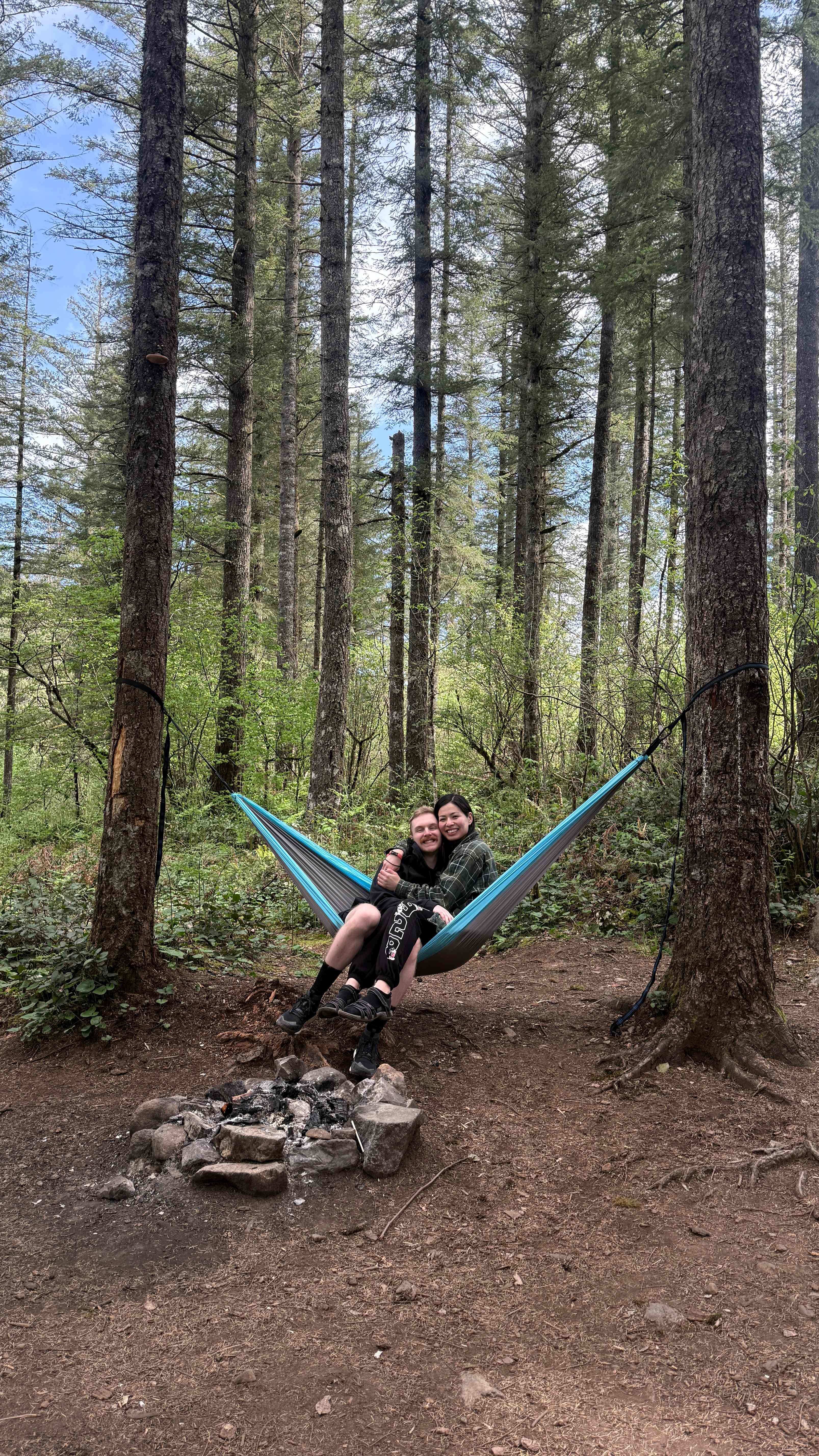 Lots of trees to hammock on the site 