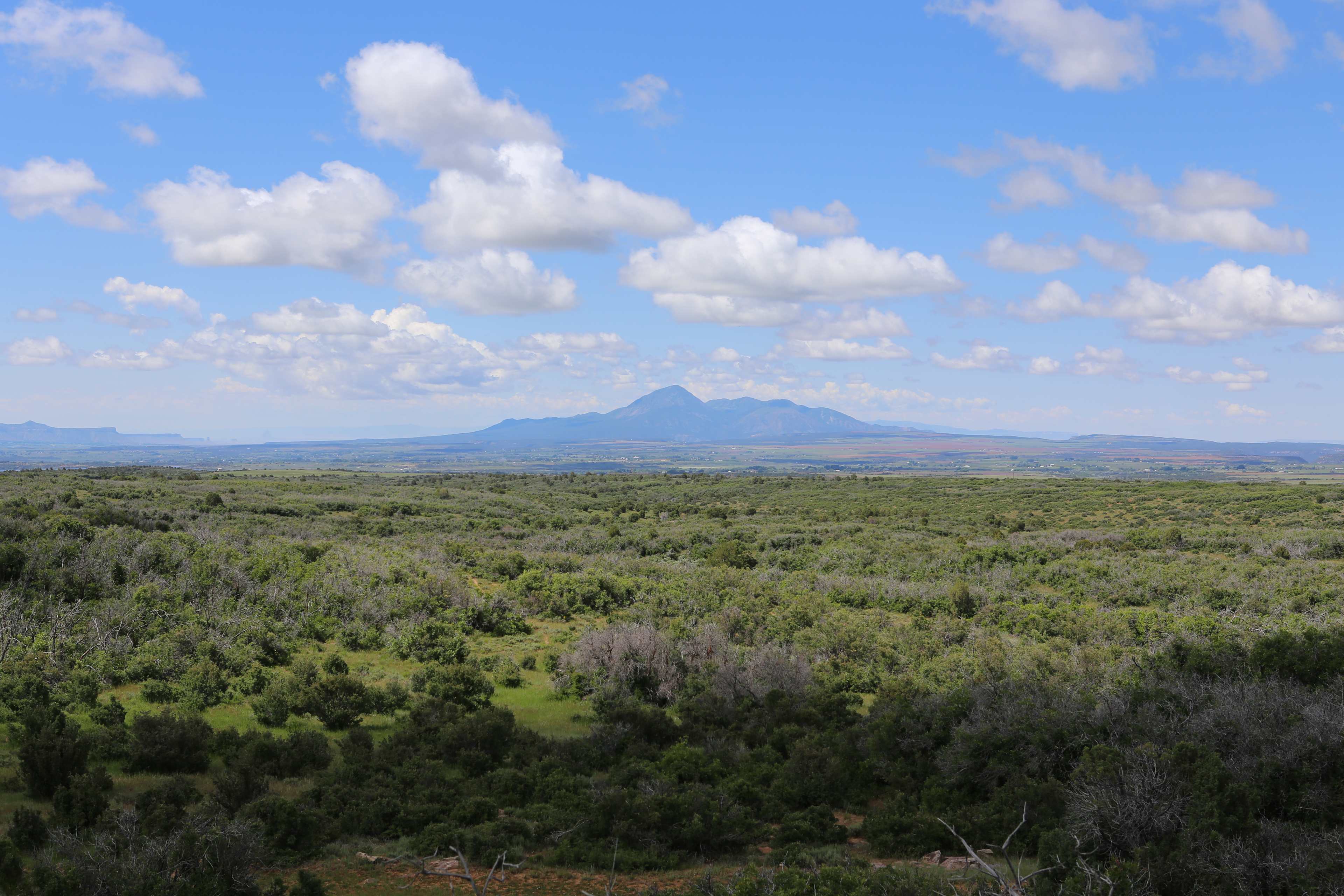 Dolores River Rim Camp