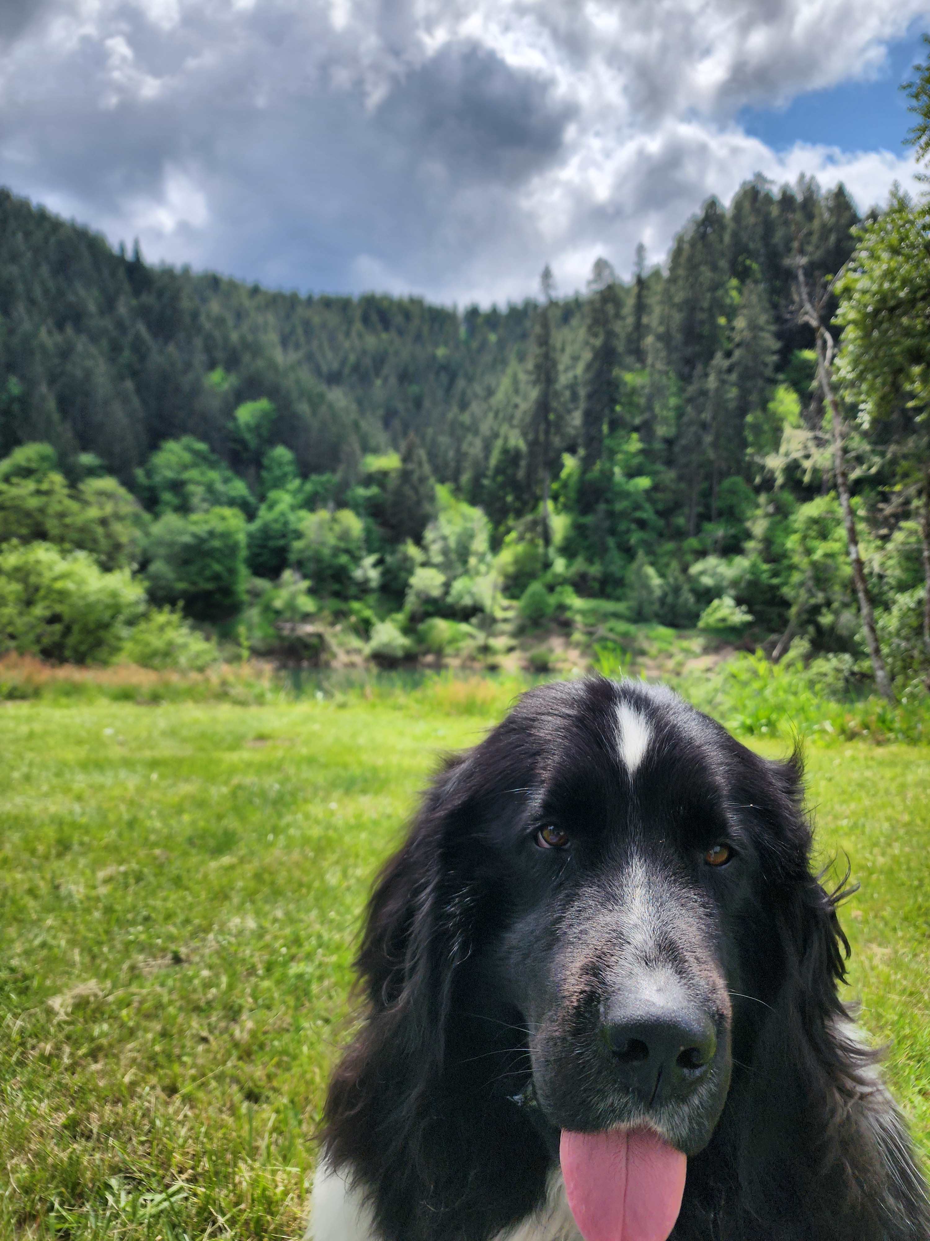 Tyee Farm