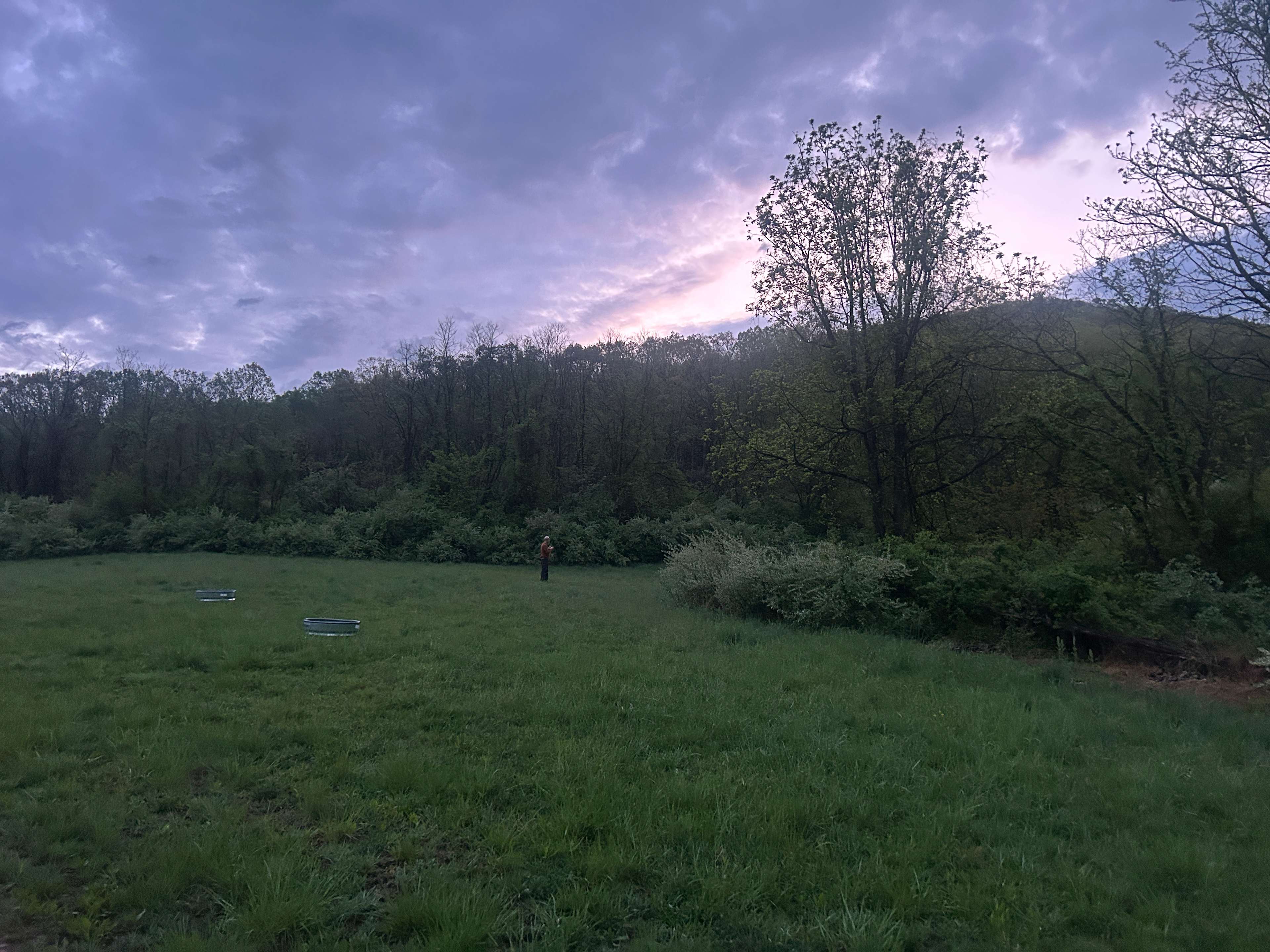 Early morning birding at the site before we headed out for a 40 mile bike ride. 