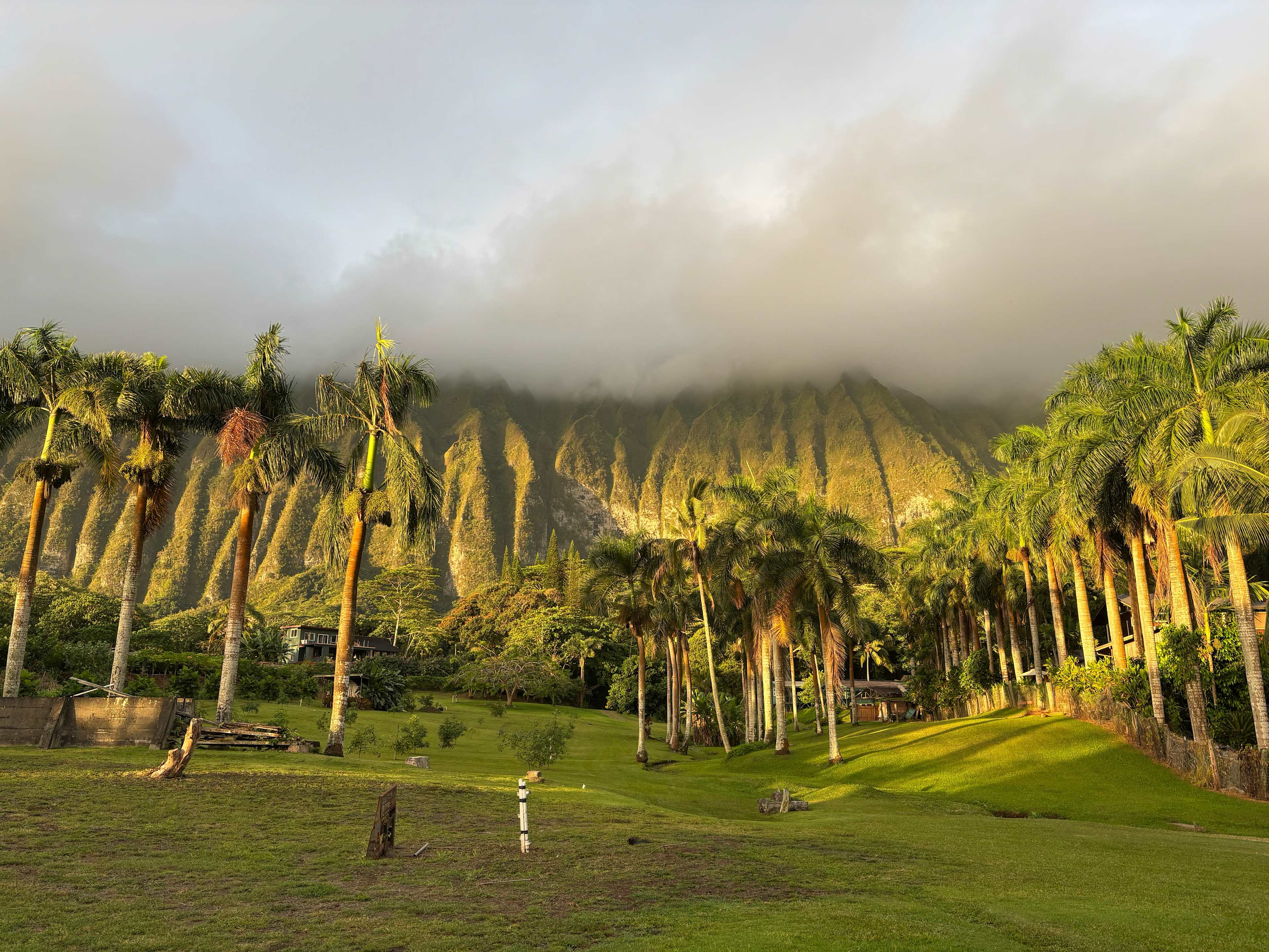 Waimanalo Farmstay