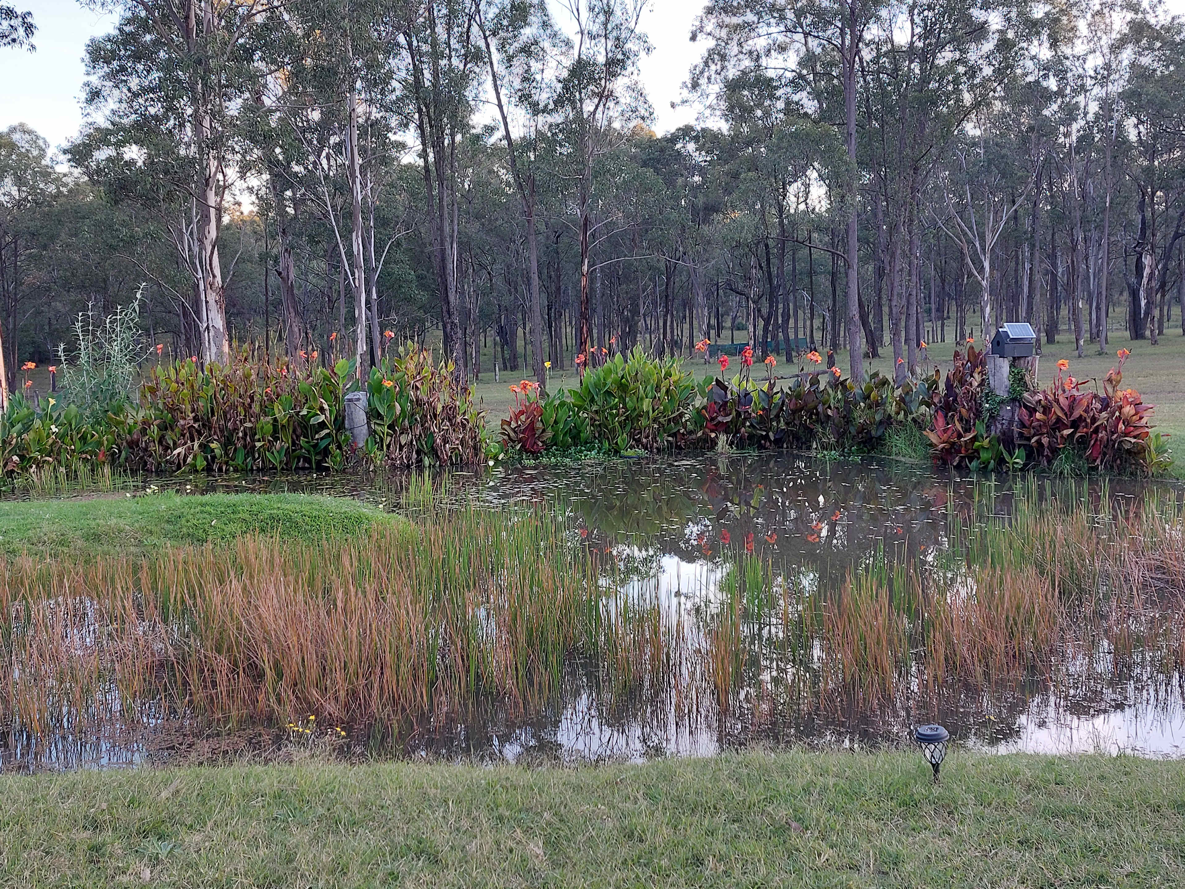 Lovely pond