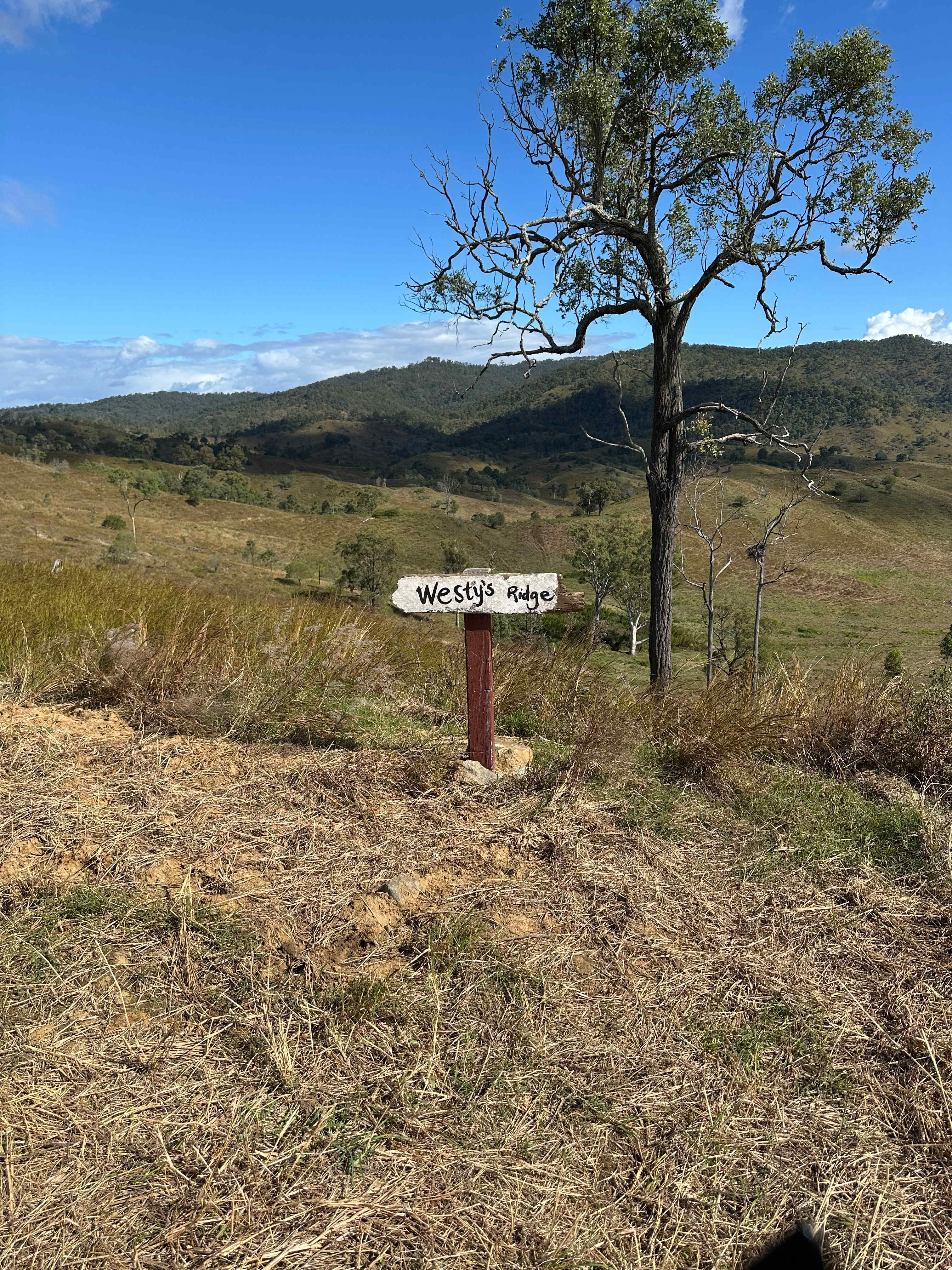 Juburra Country Camping