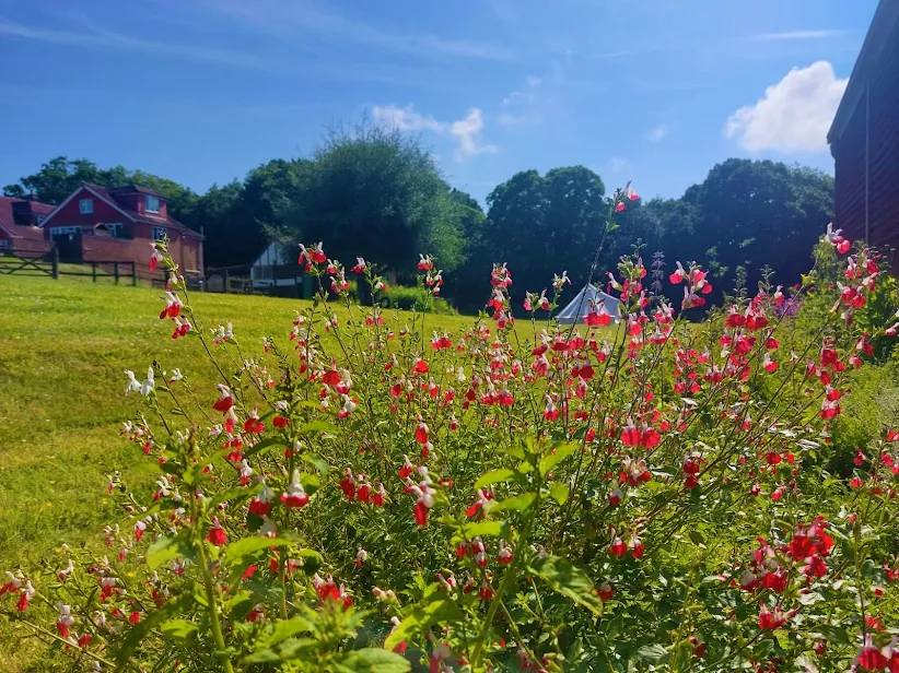 Oak Valley Lodges & Camping