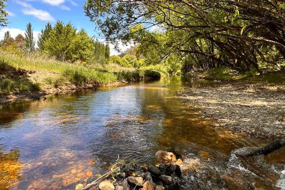 Omeo Holiday Park