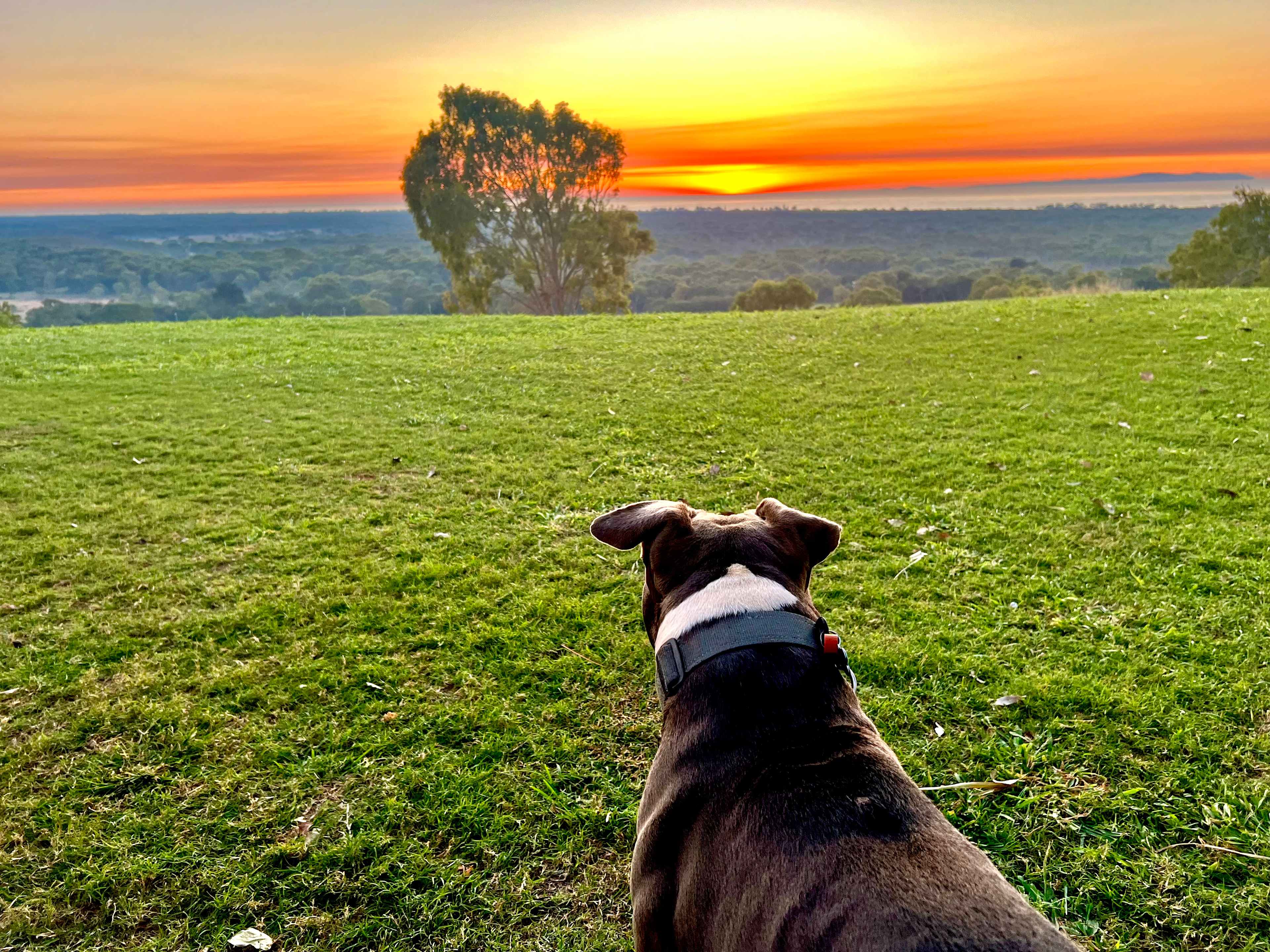 Yeppoon Farmstay