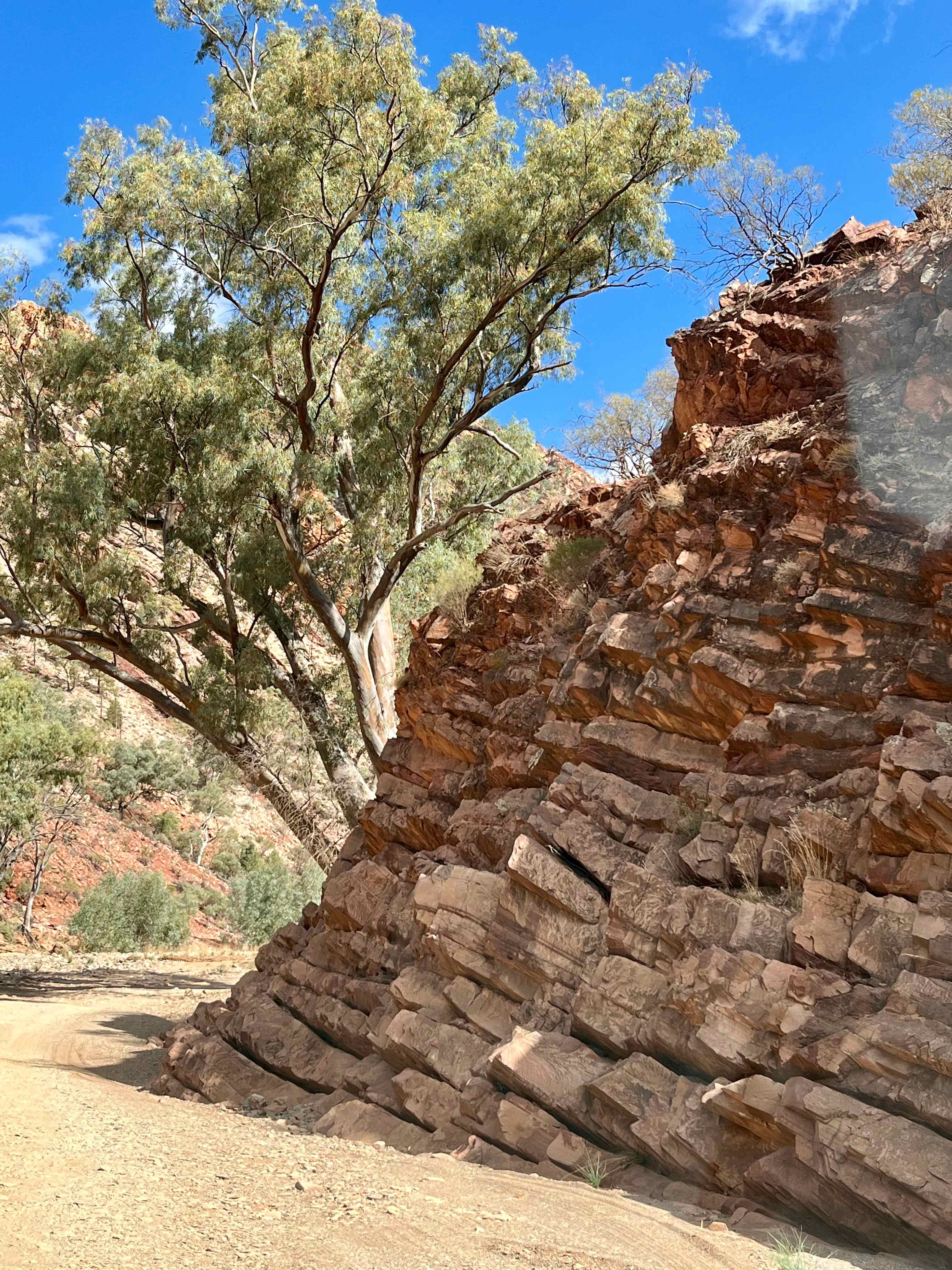 Rawnsley Park Station