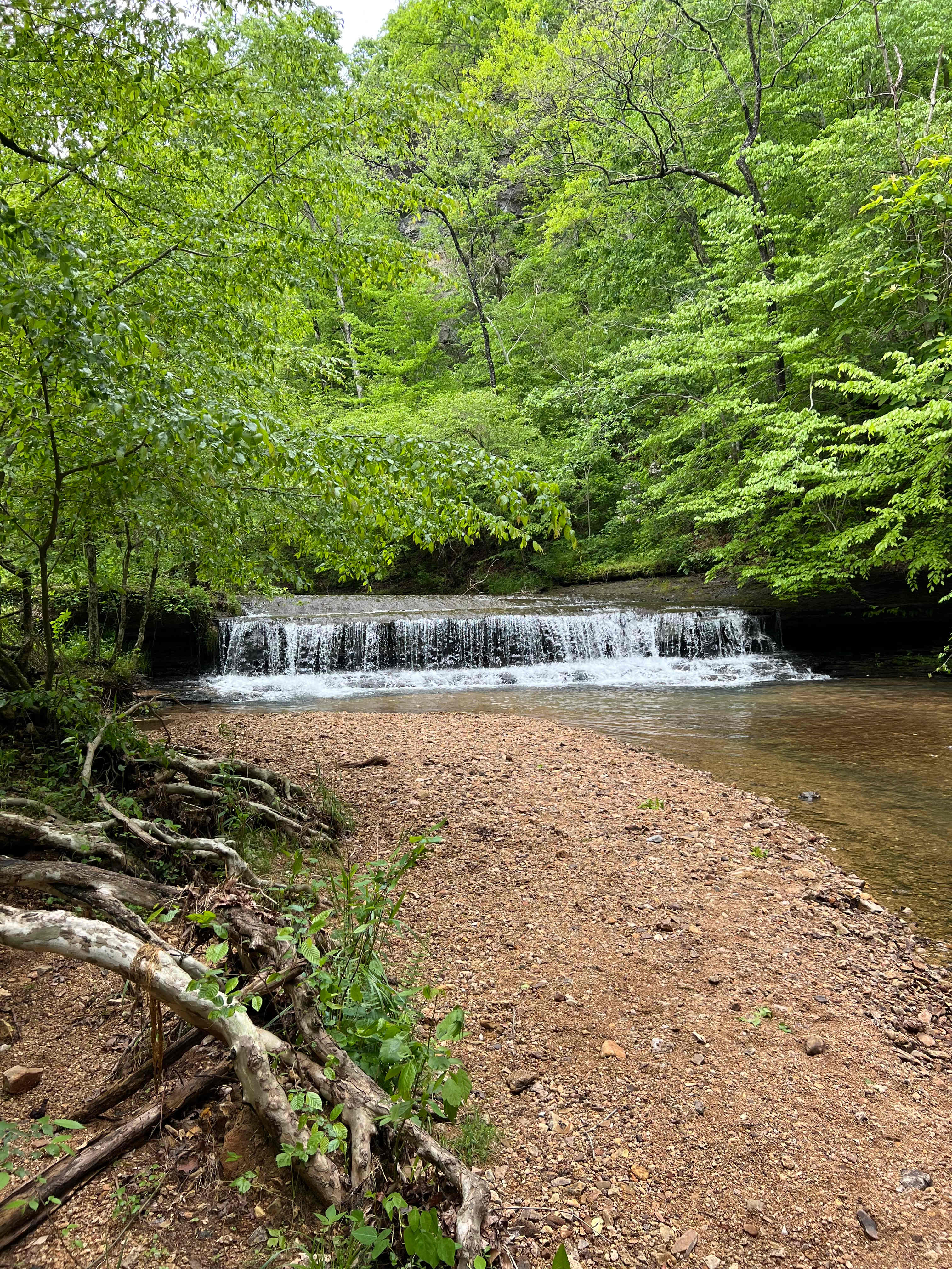 Lionsgate Campground