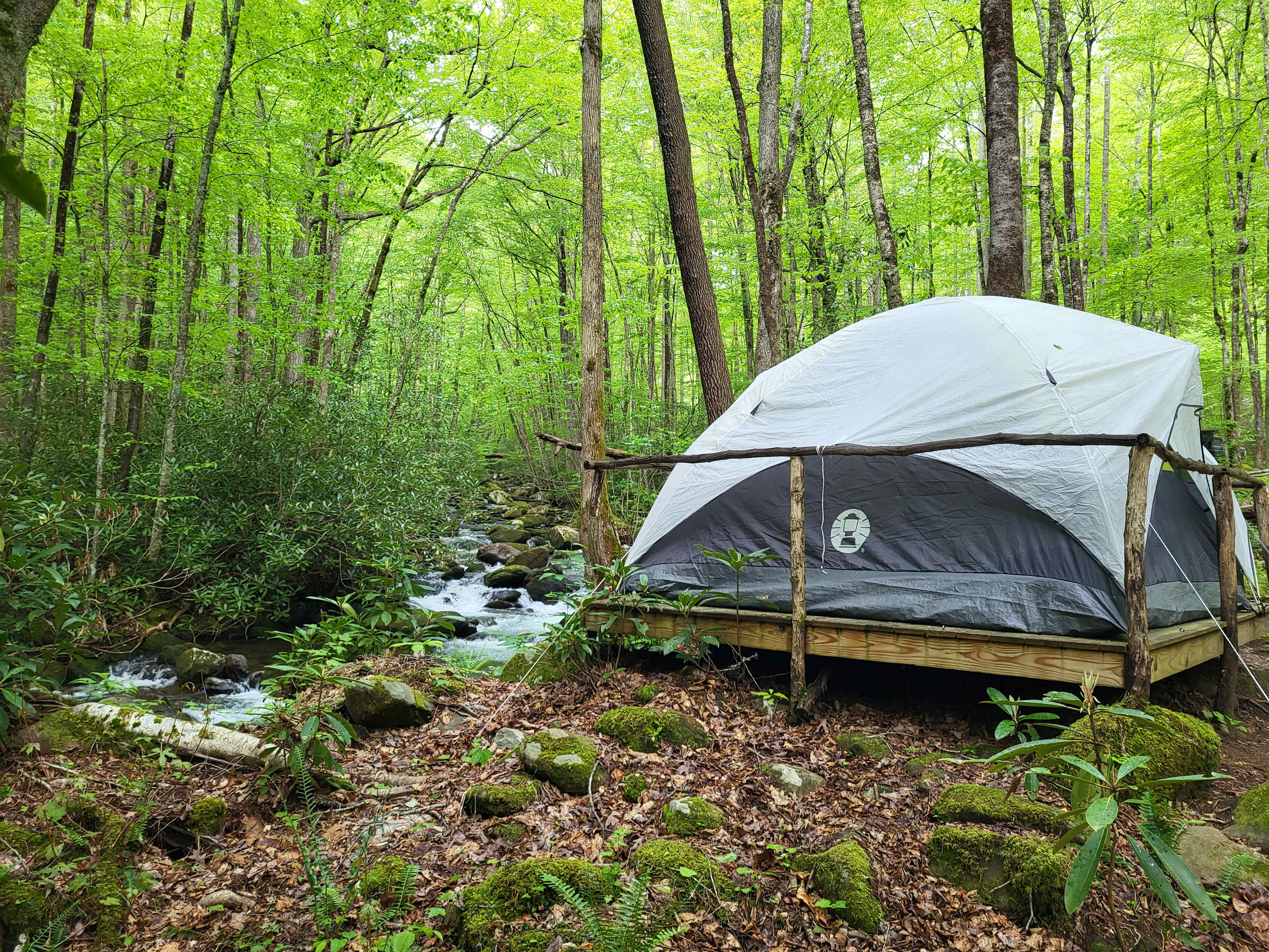 Mountain Creek Rest
