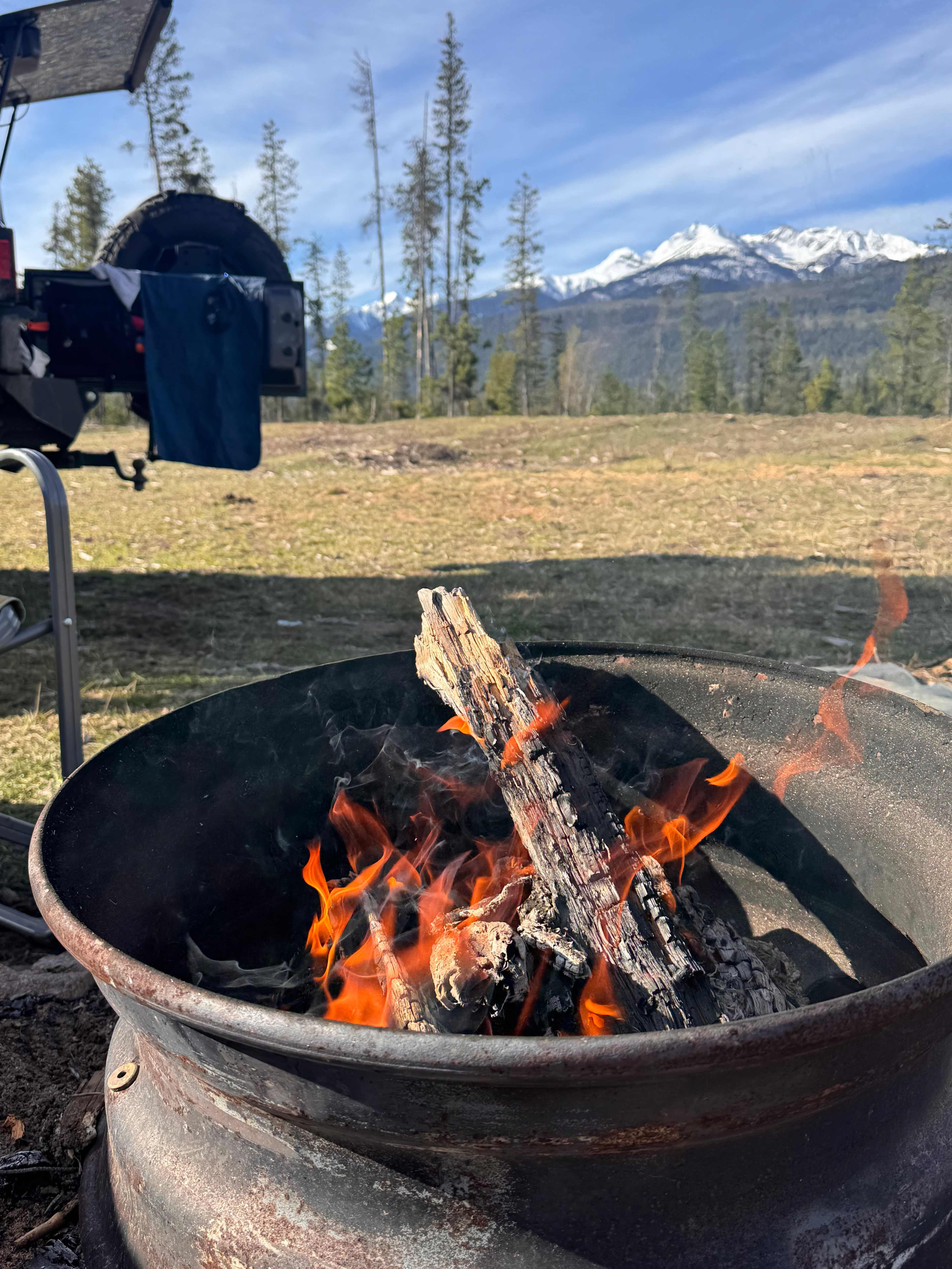 Fuzzy Buddy Ranch