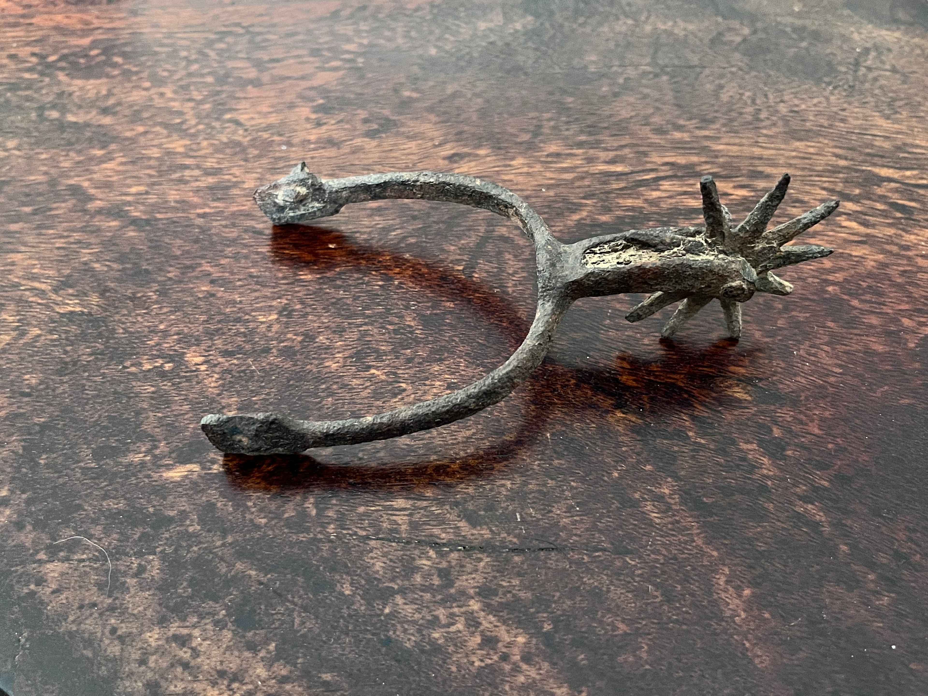 Old spur found during a nature walk by Theresa U. 