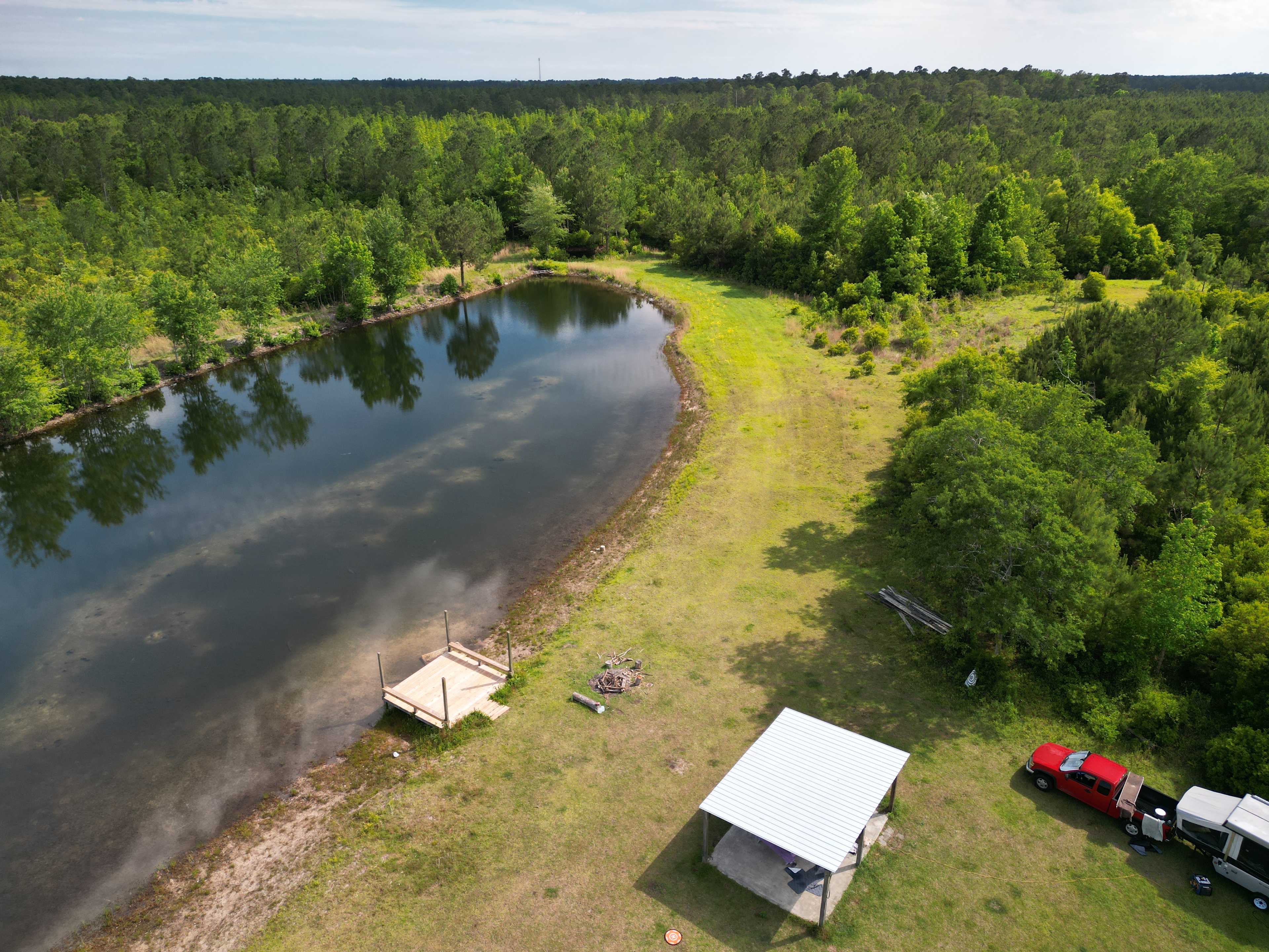 The Pine Tree Retreat