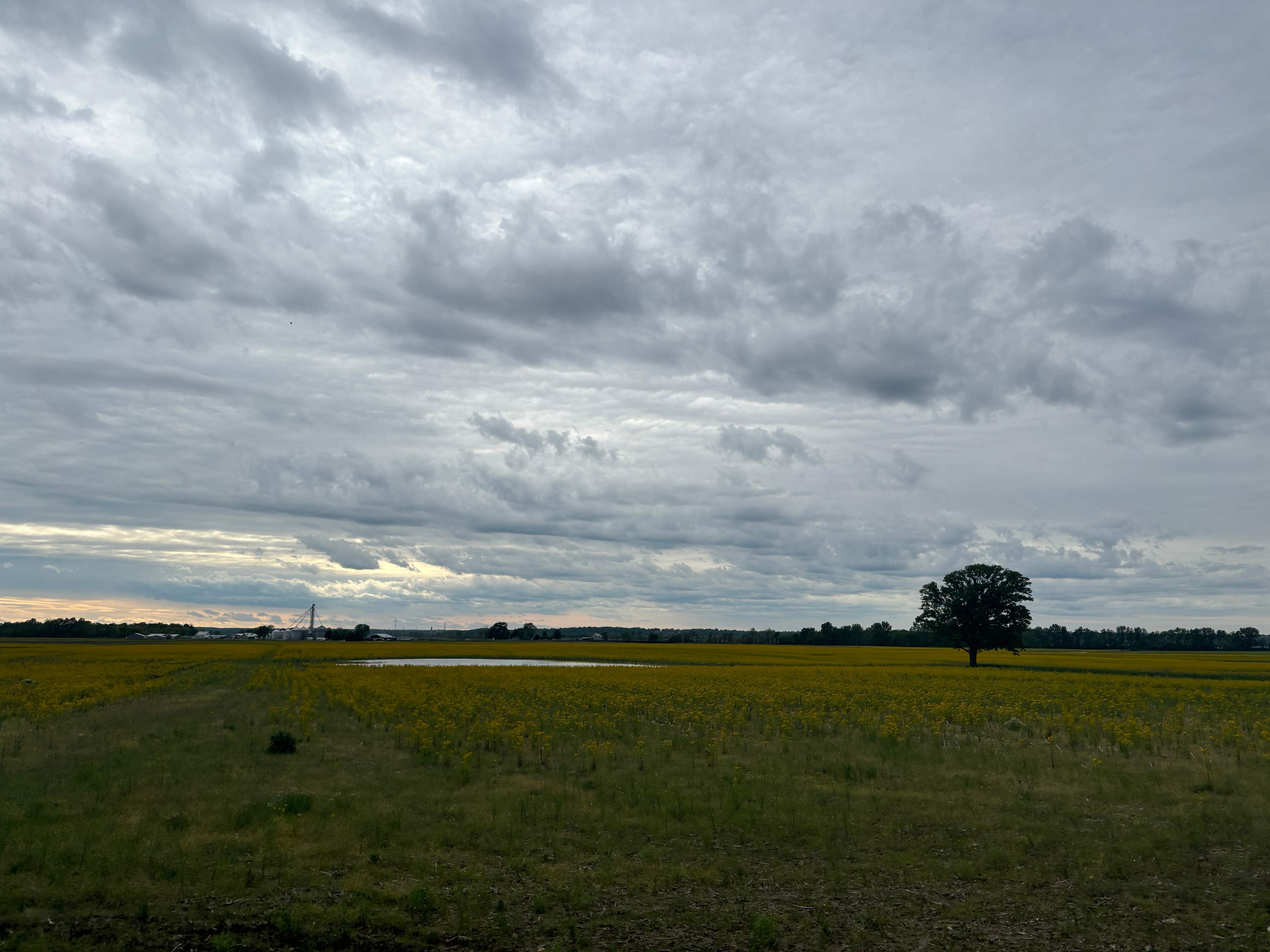 R & T Farms