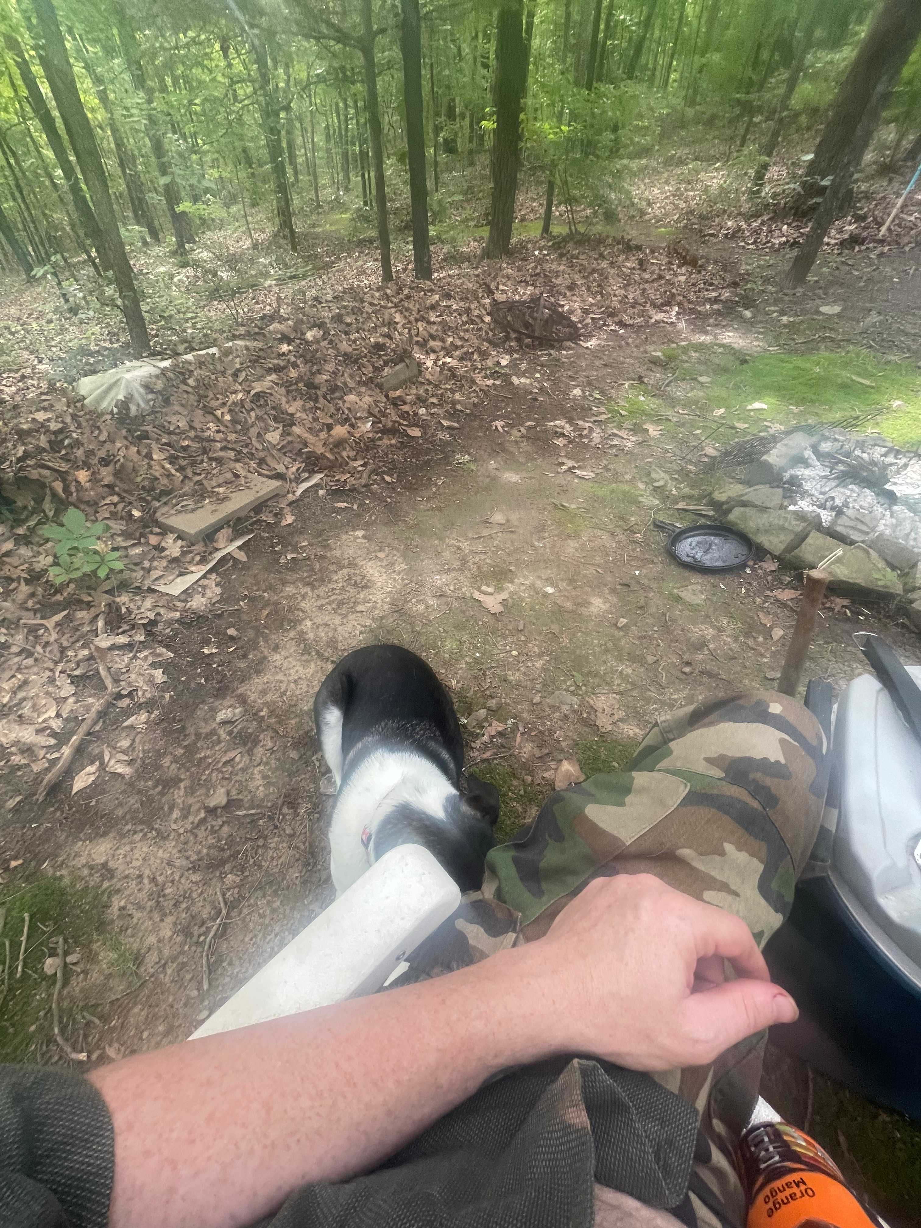 Camp Ambassador 