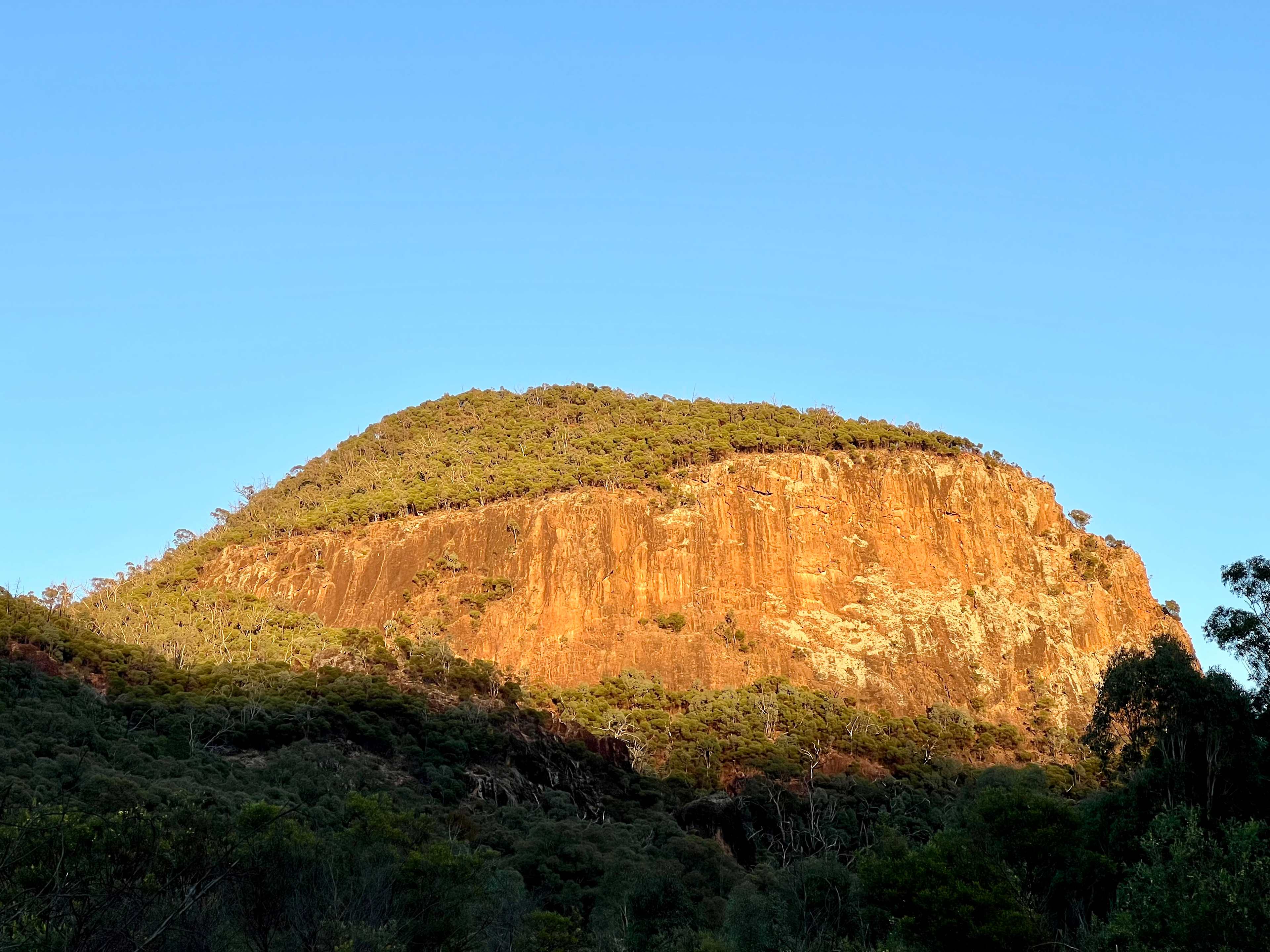 Mount Terrace