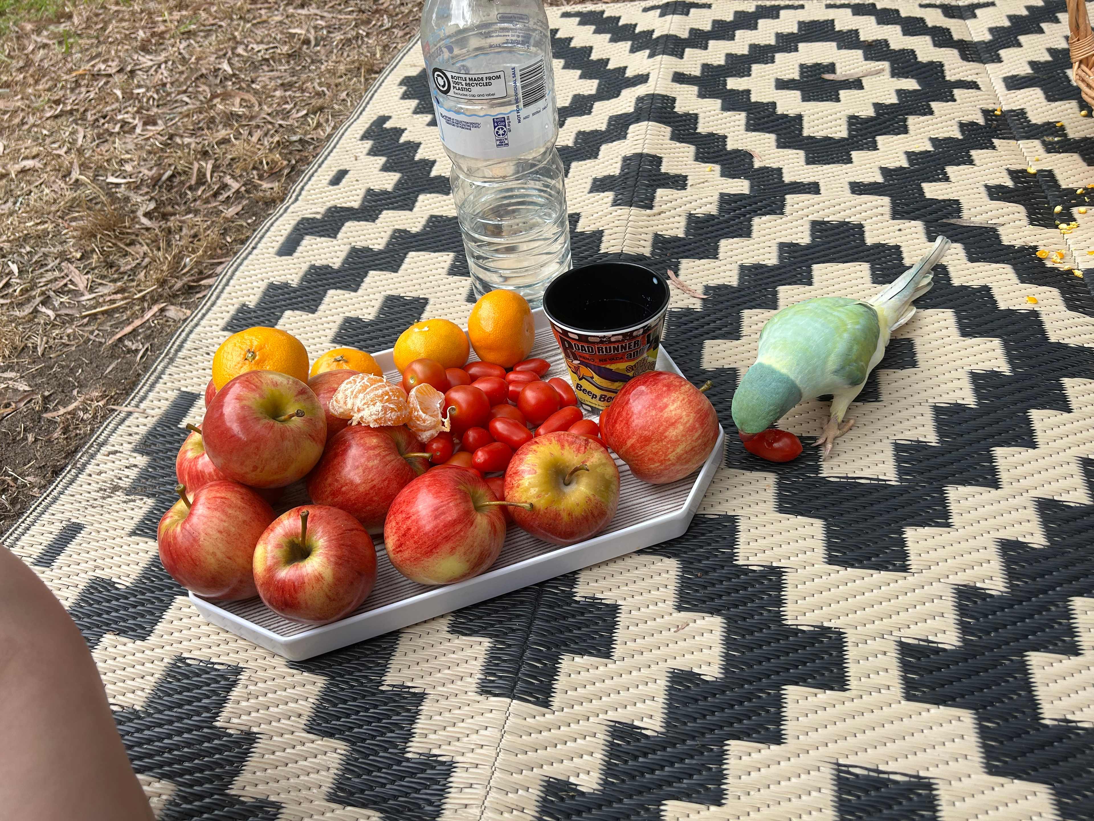 Four Seasons Holiday Park