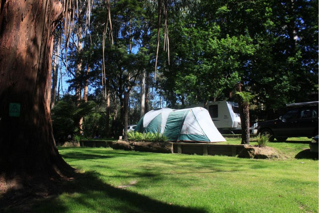 Tarra Valley Retreat