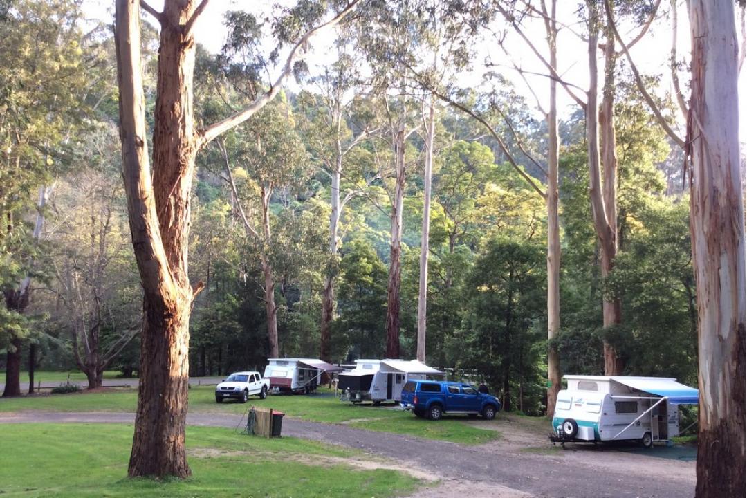 Tarra Valley Retreat