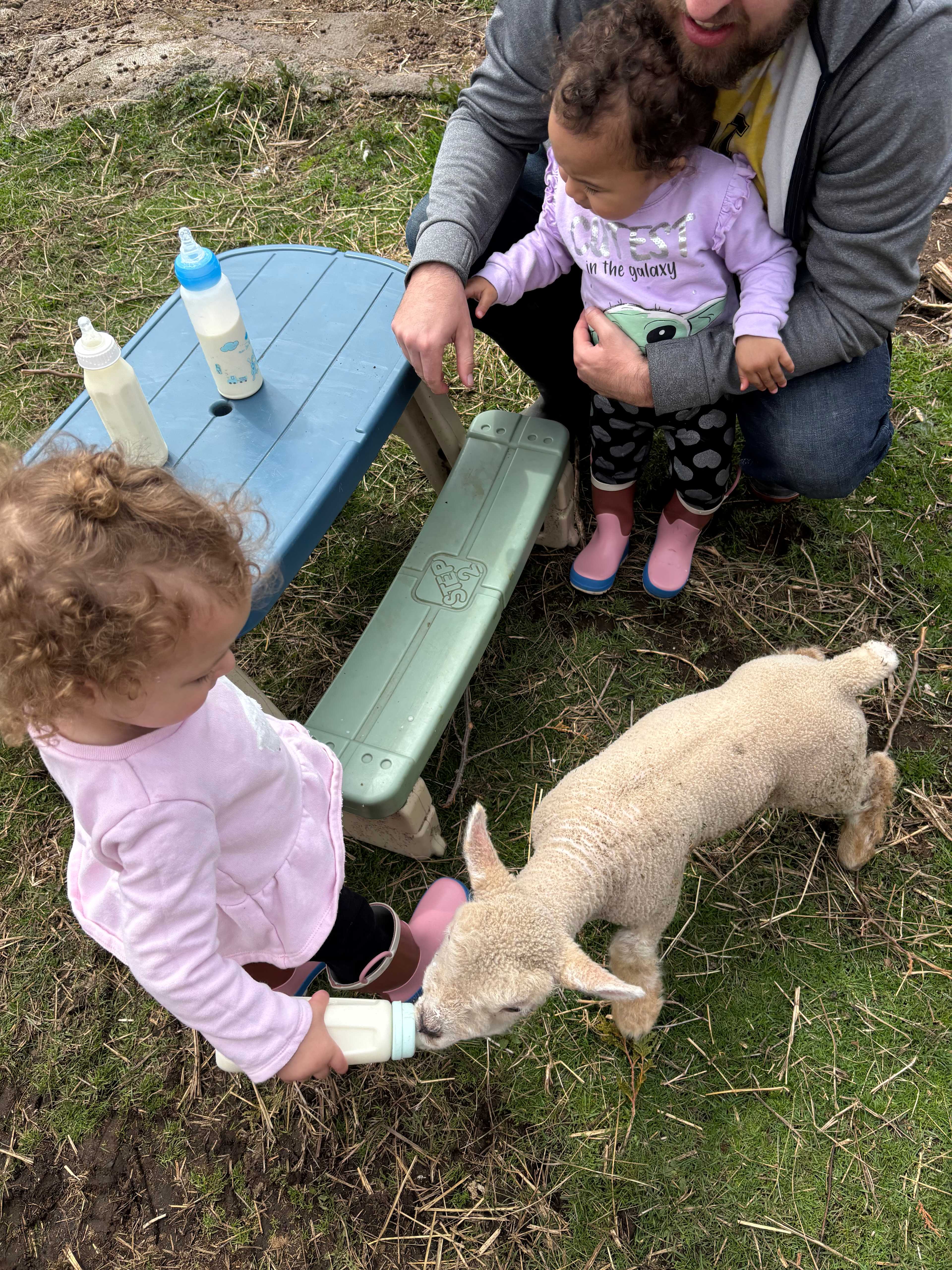 Dragonfly Ridge Rescue Farm