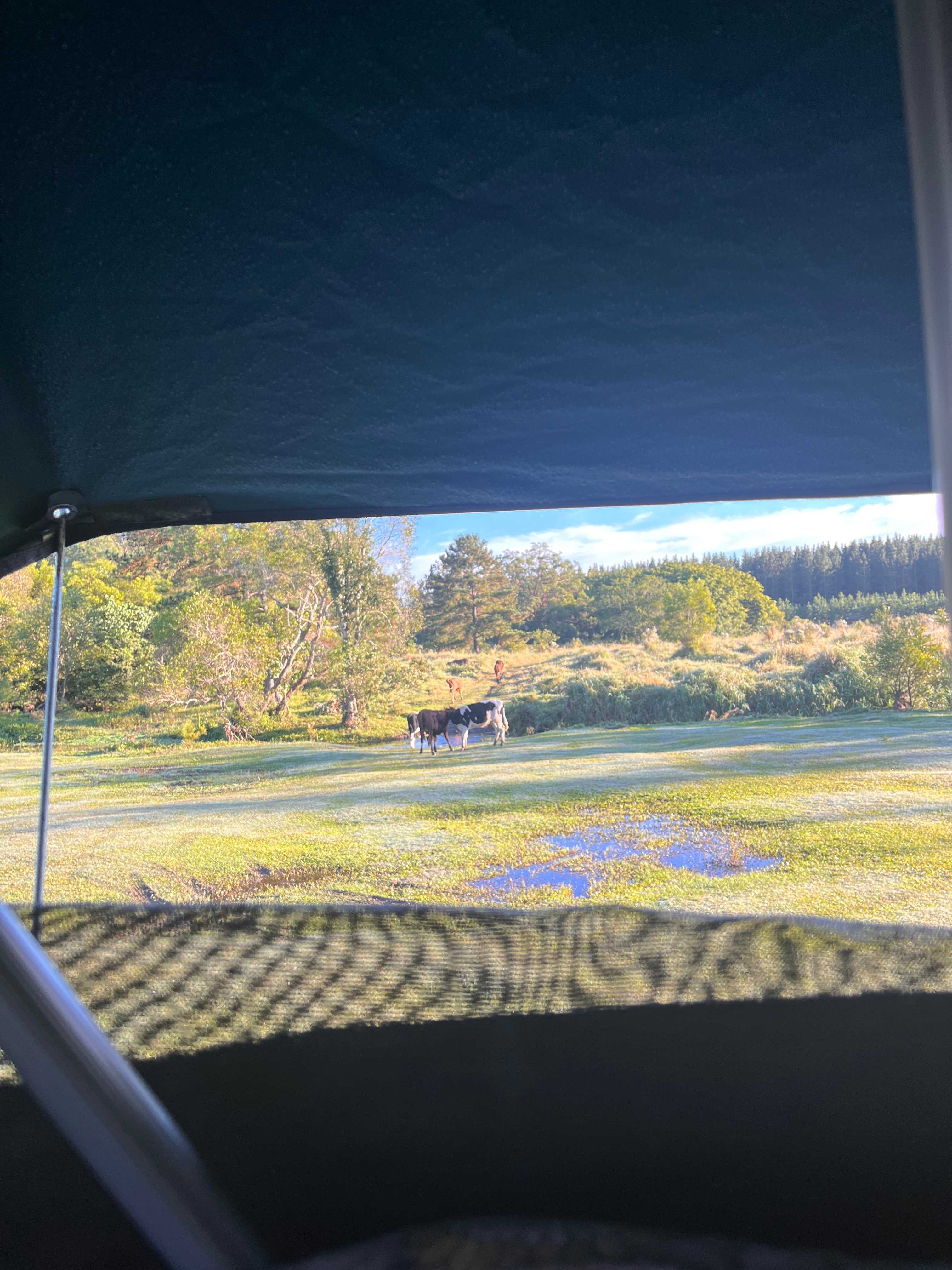 Wild Horse Retreat