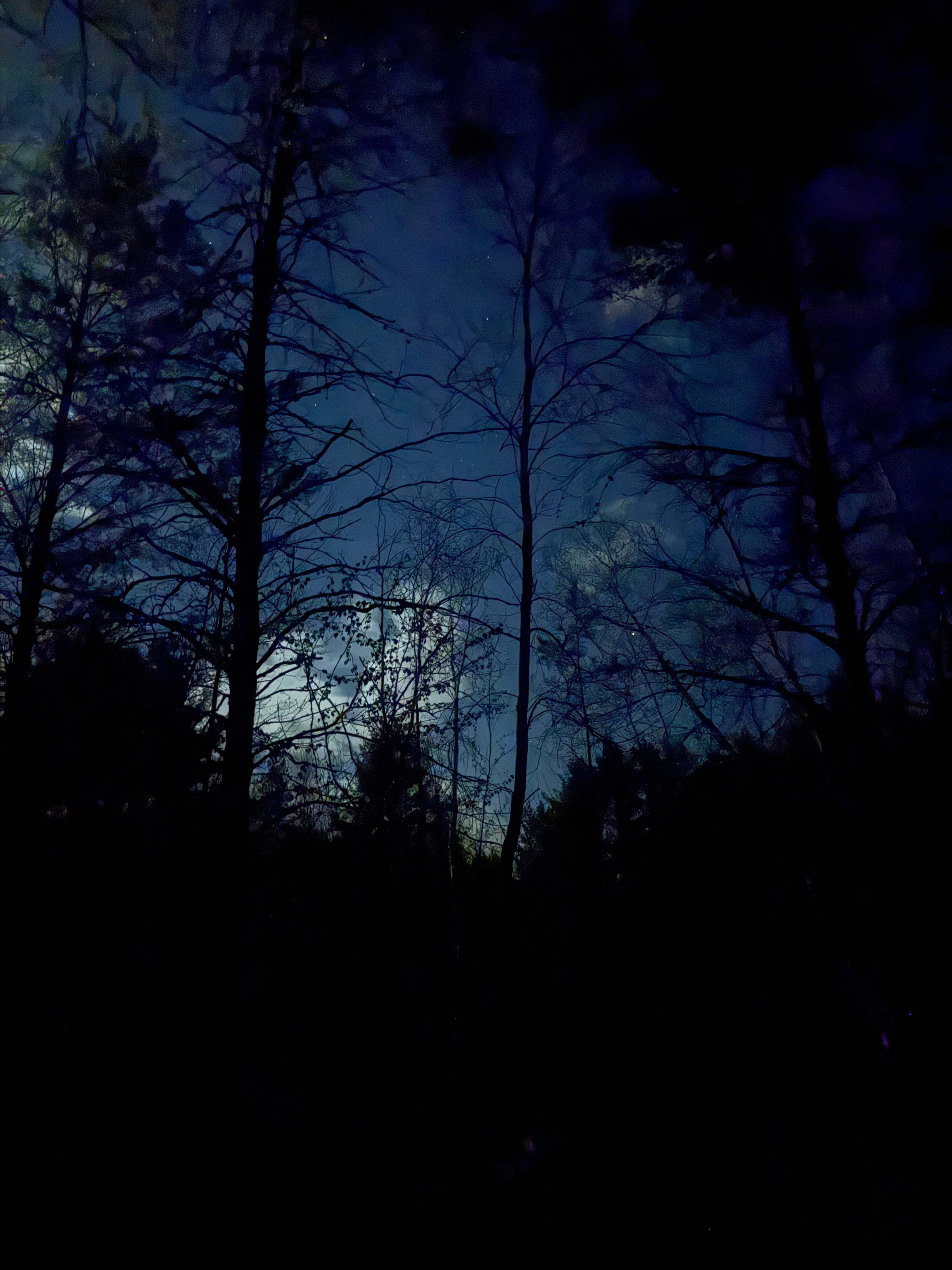 Whispering Pines - Curran, Ontario