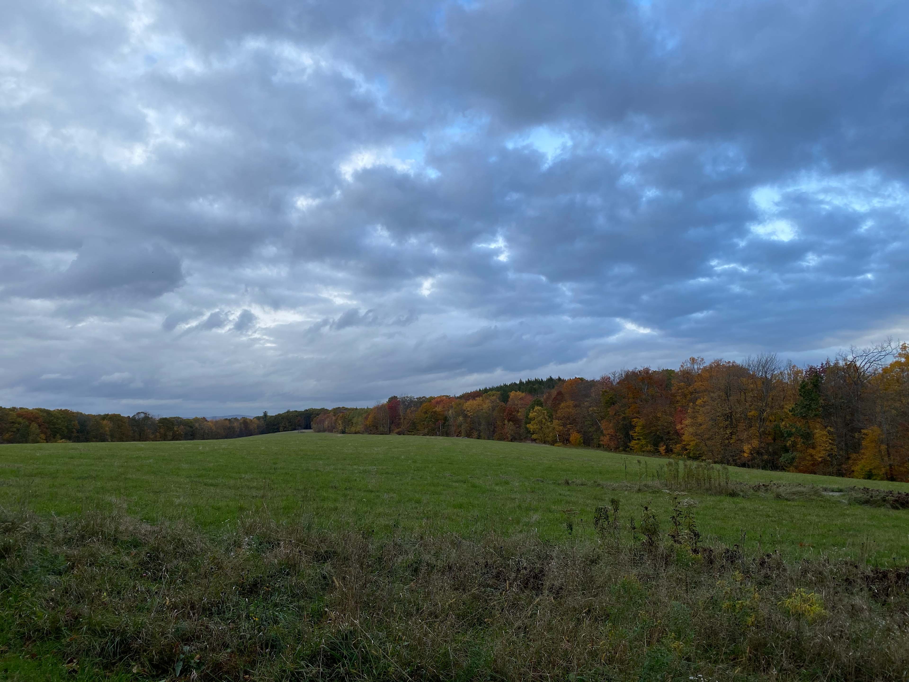 Goss Hill Campsite